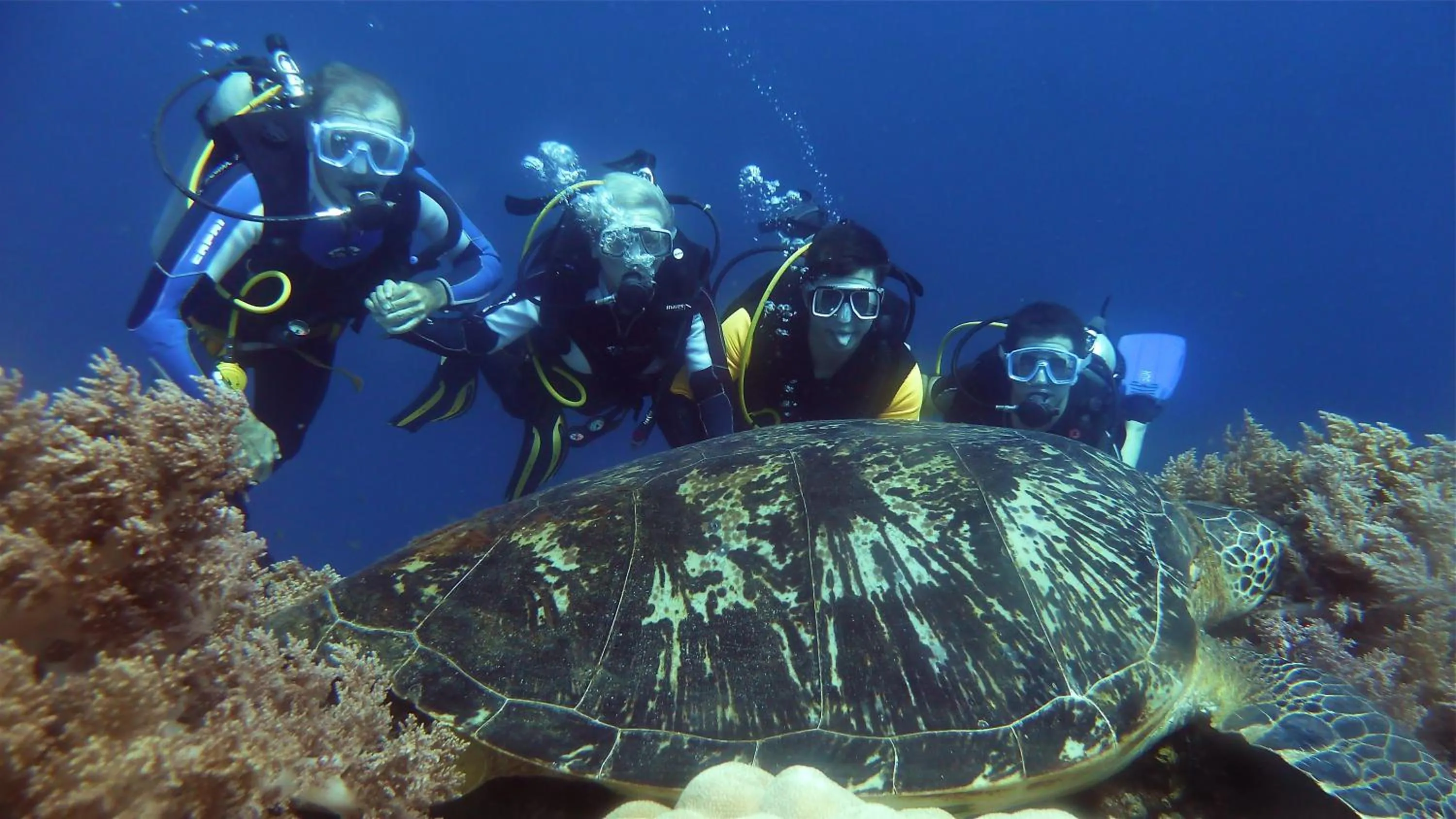 Snorkeling in Alona Vida Beach Resort