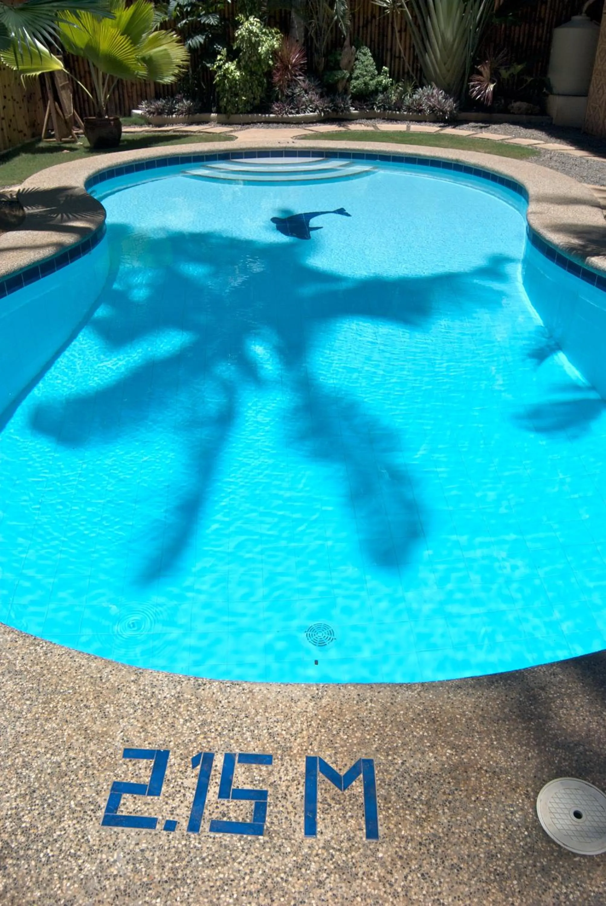 Swimming pool in Alona Vida Beach Resort