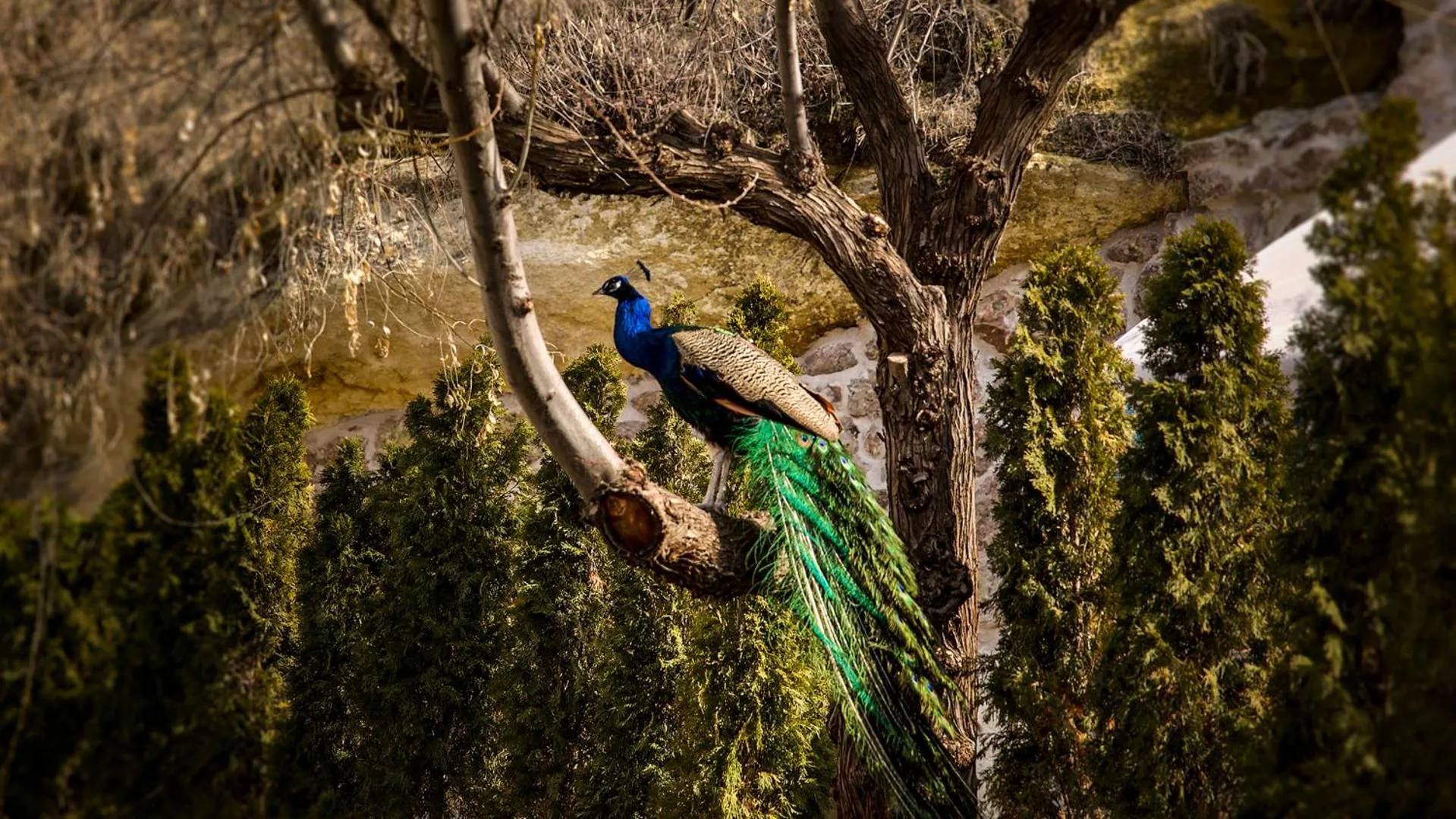 Natural landscape in AJWA Cappadocia - Preferred Hotels Legend Collection