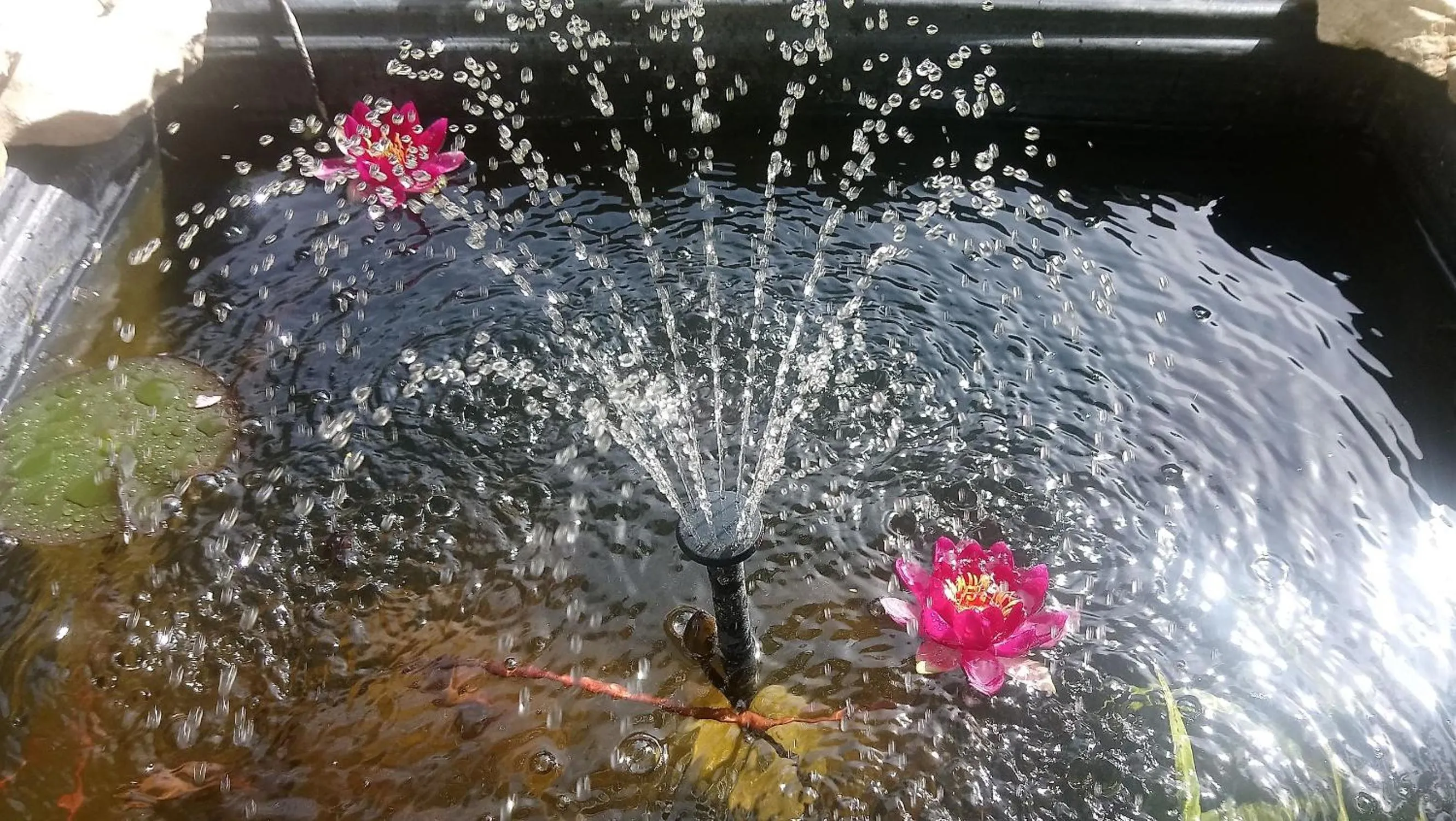 Garden in L'Esperluette en Camargue