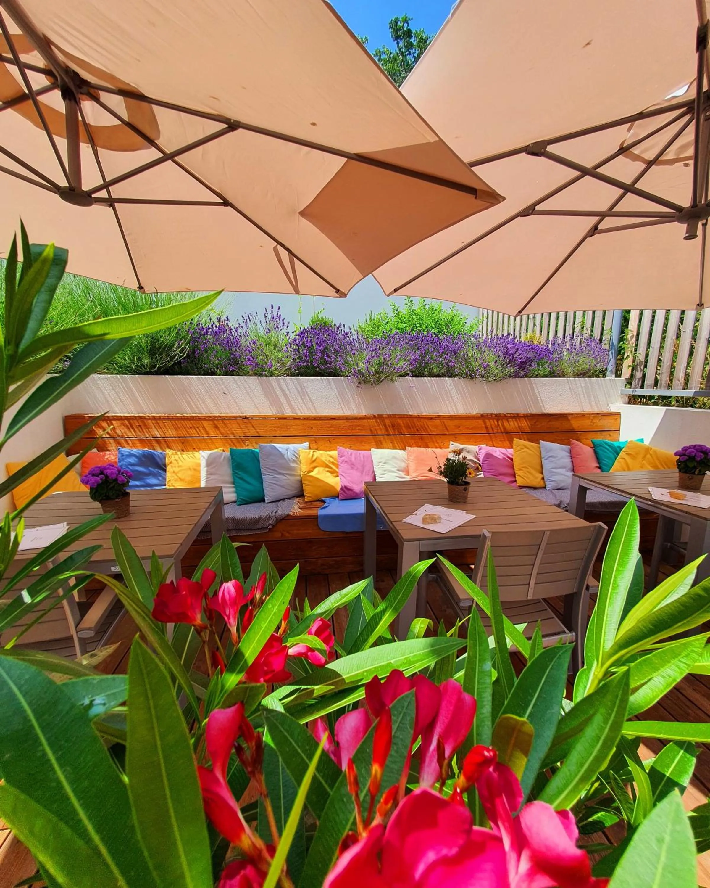 Garden view in Sousedi Pavlov