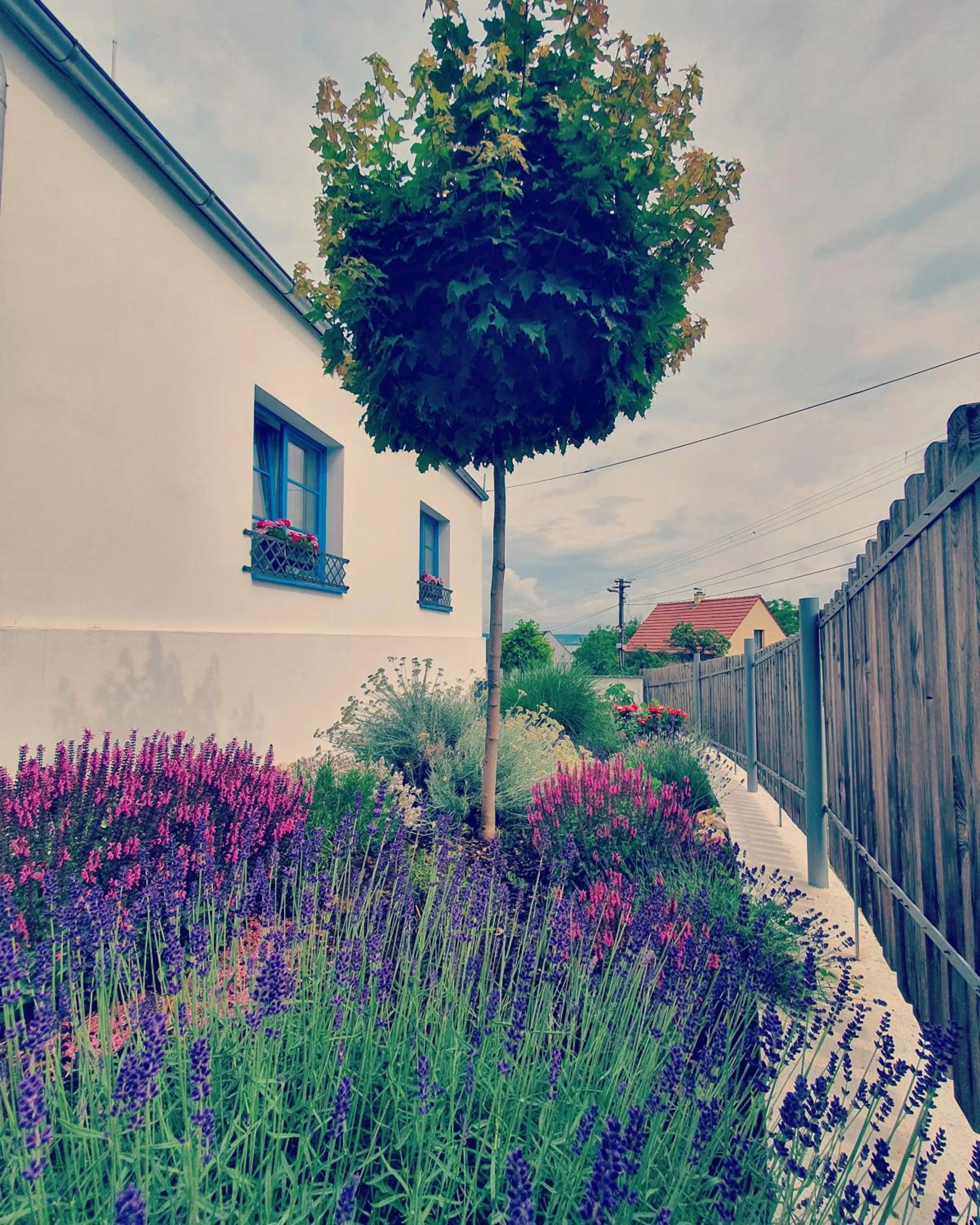 Property building in Sousedi Pavlov