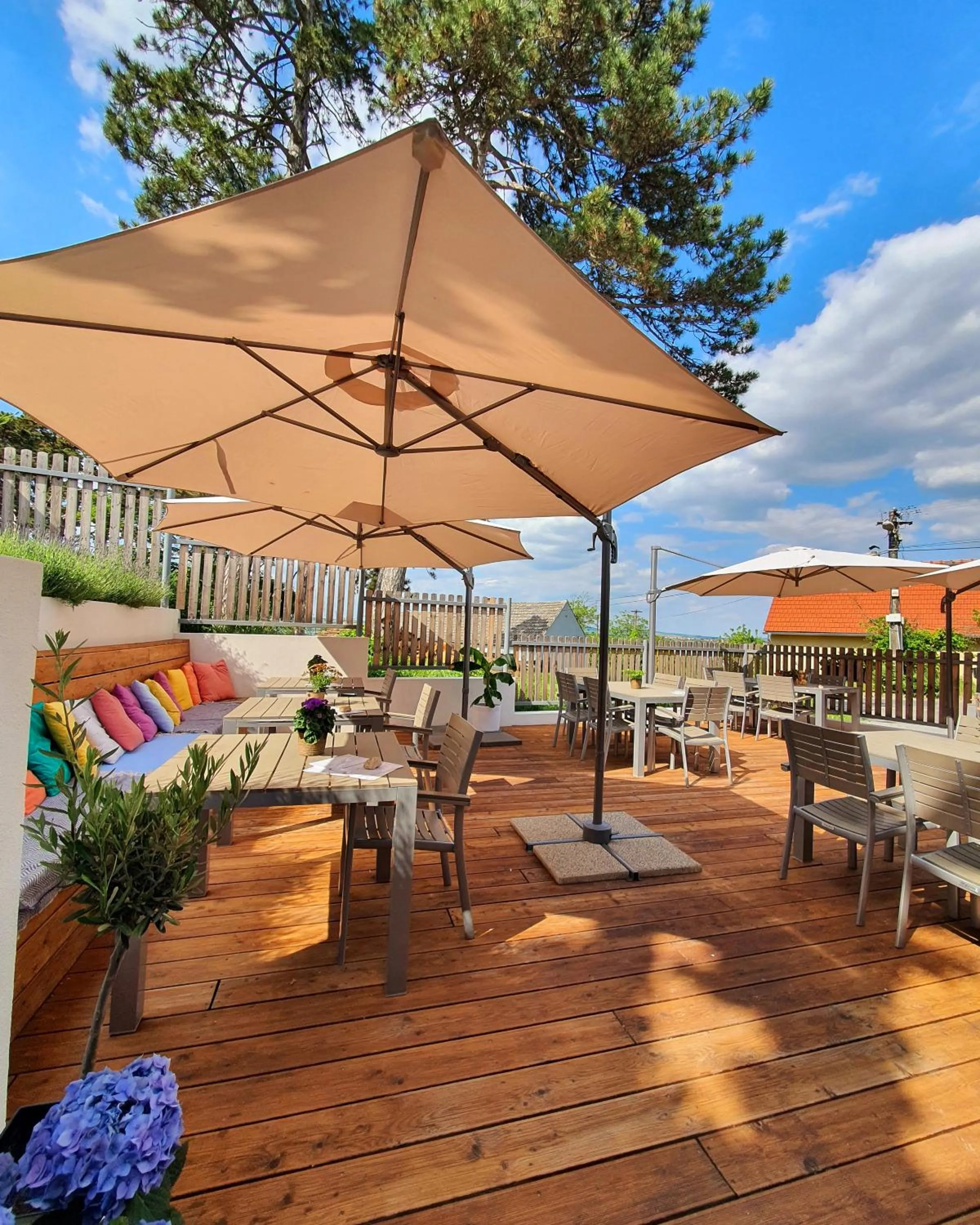 Day in Sousedi Pavlov