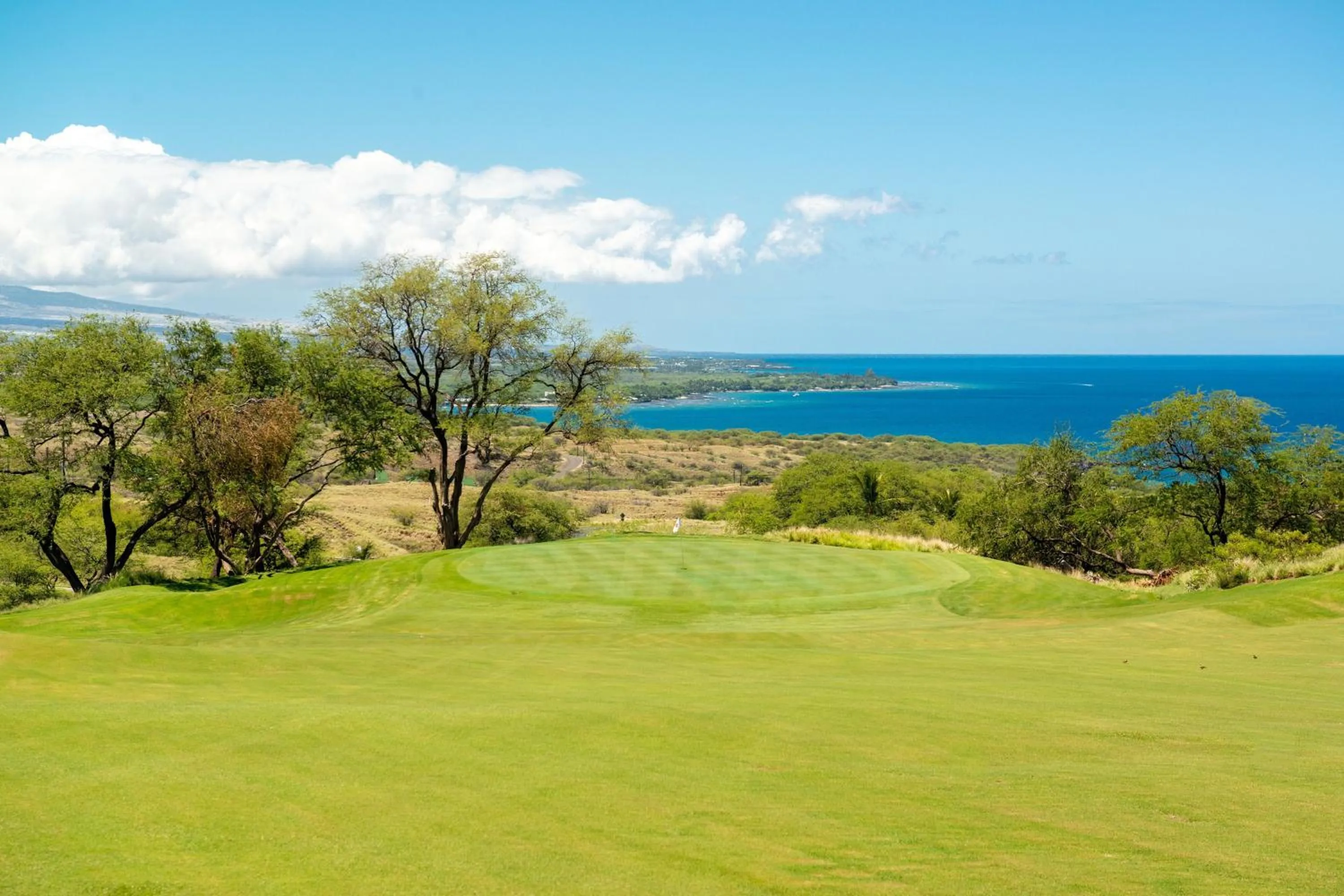 Other in The Westin Hapuna Beach Resort