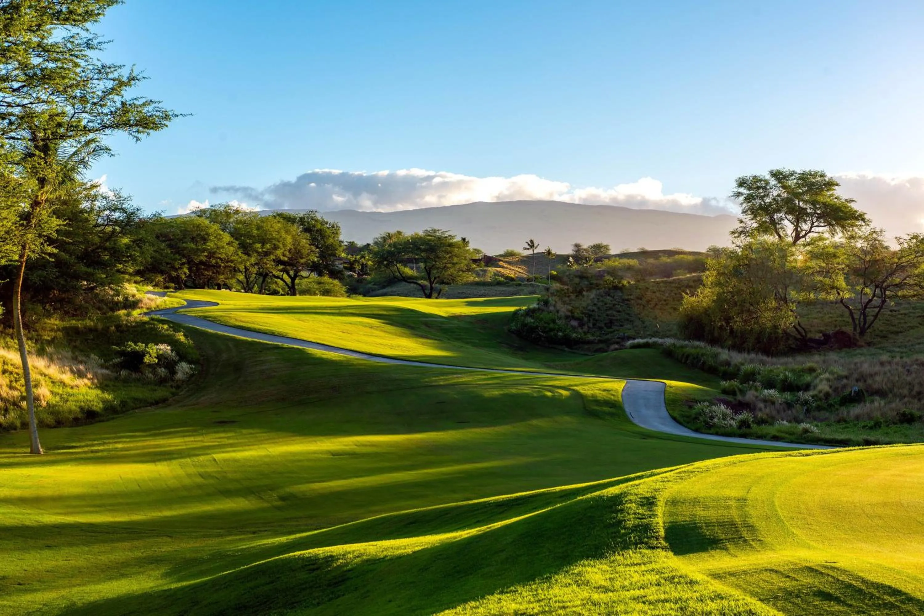 Other in The Westin Hapuna Beach Resort