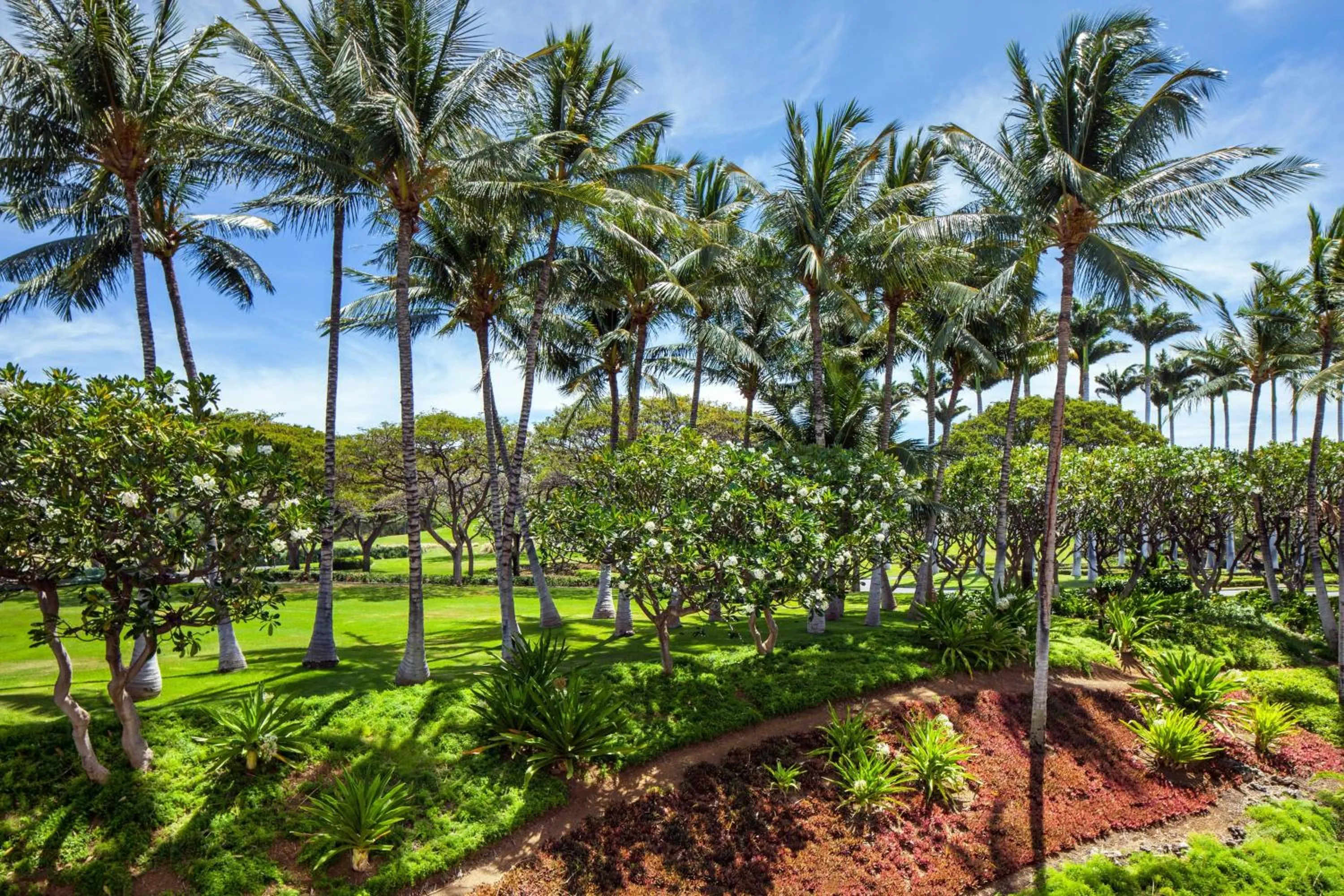 Lobby or reception in The Westin Hapuna Beach Resort