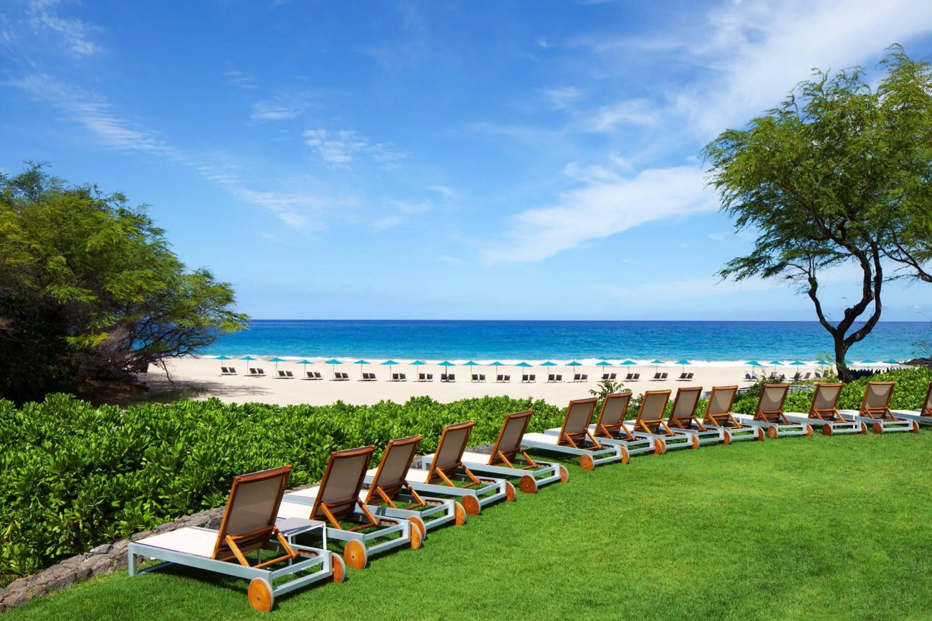 Lounge or bar in The Westin Hapuna Beach Resort