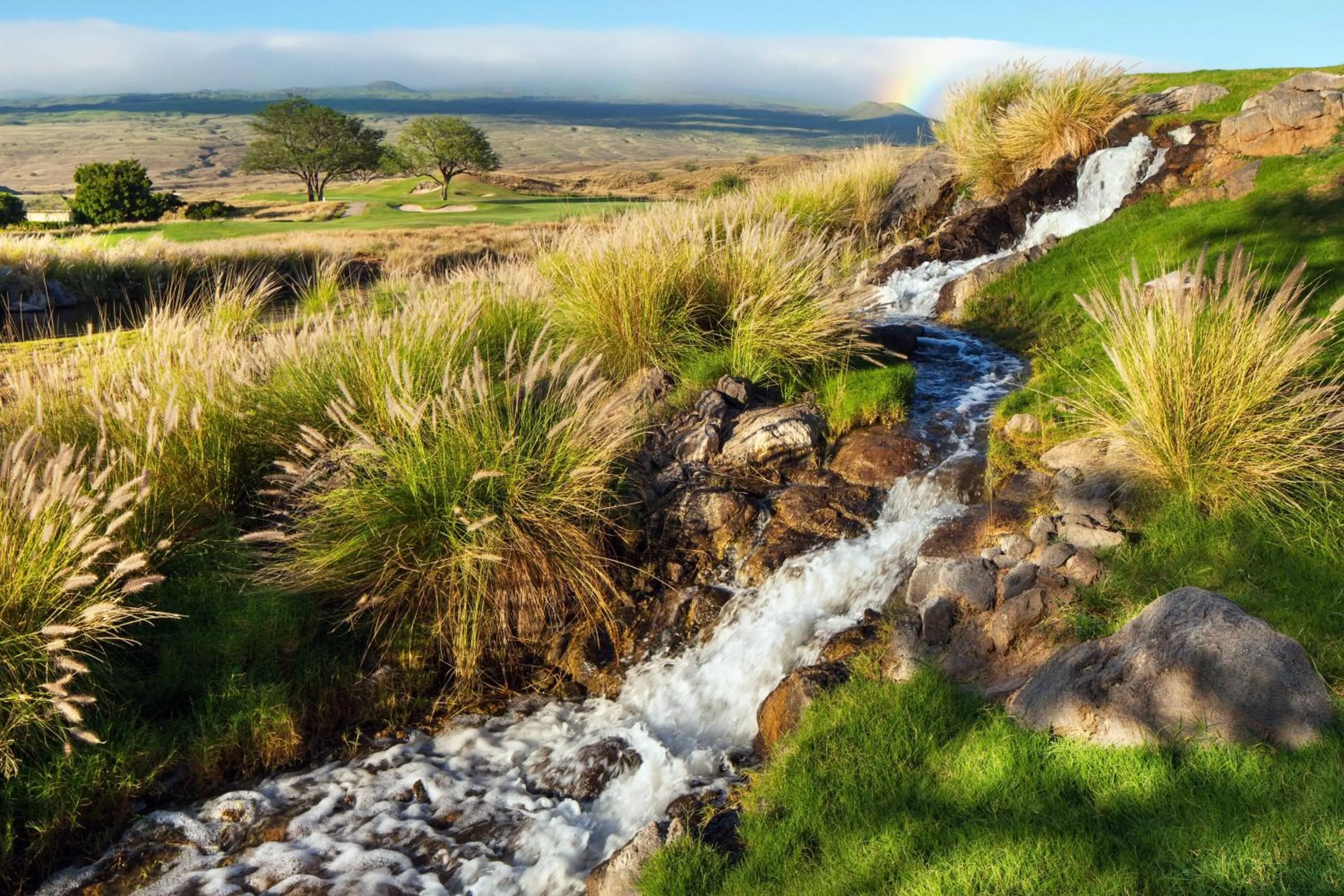 Other in The Westin Hapuna Beach Resort