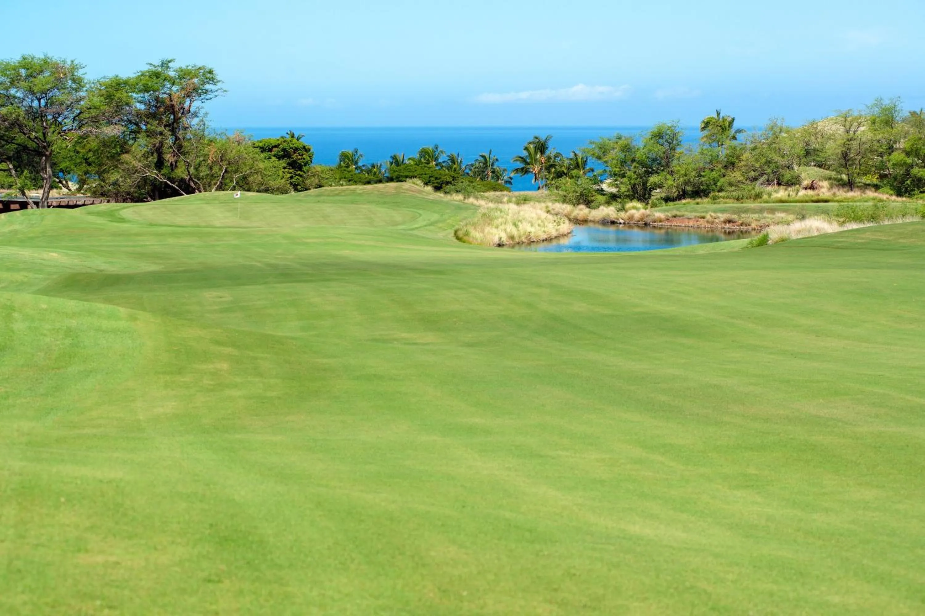 Other in The Westin Hapuna Beach Resort