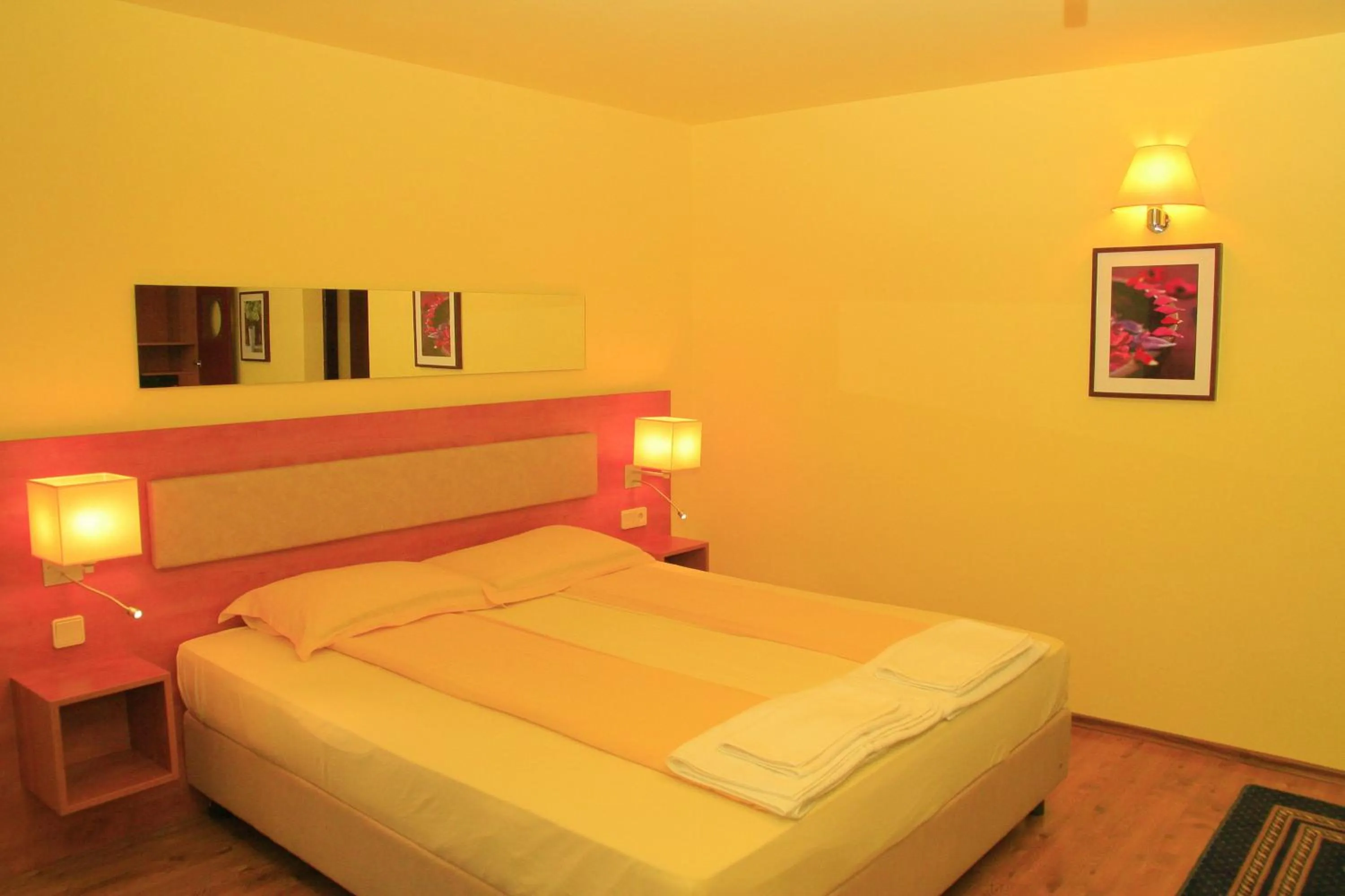 Bed in Pensiunea Blanca