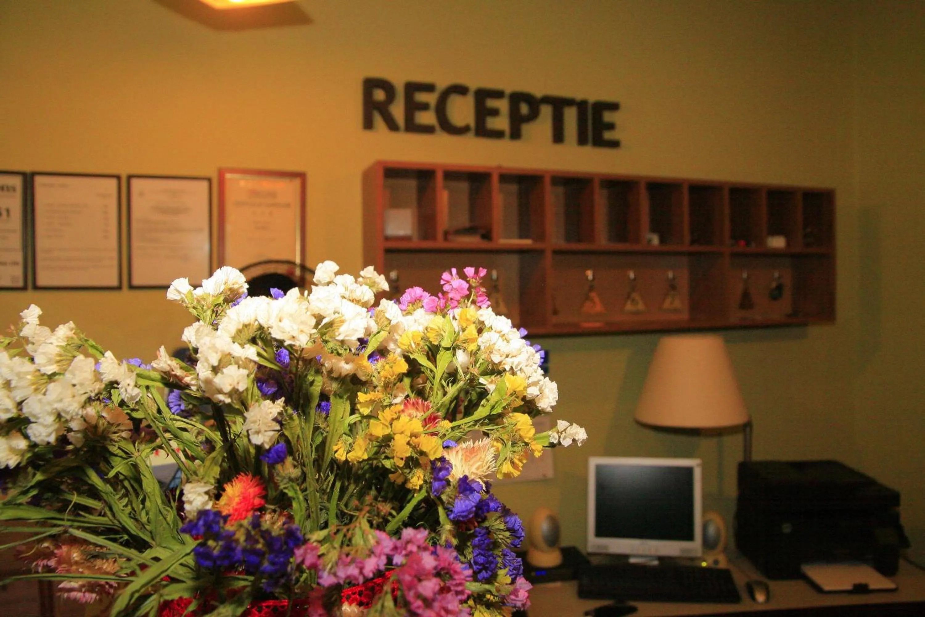 Lobby or reception in Pensiunea Blanca