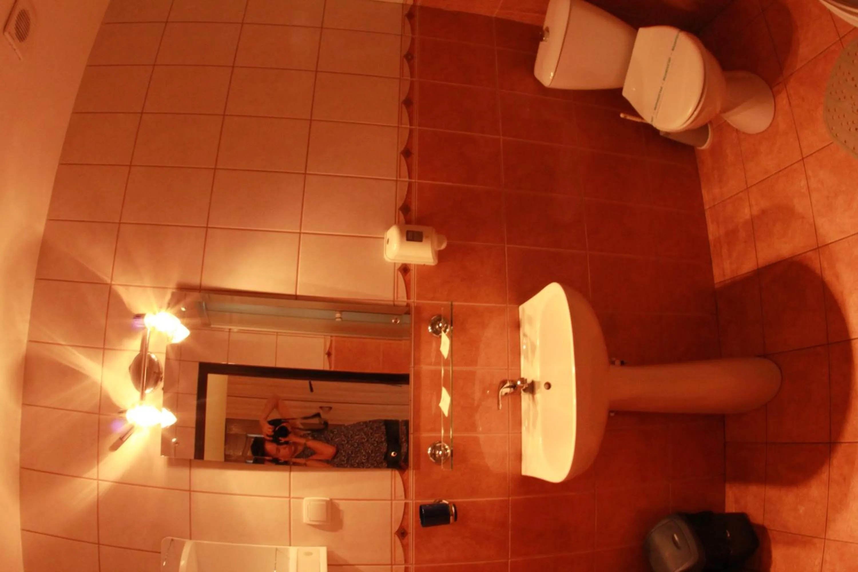 Bathroom in Pensiunea Blanca