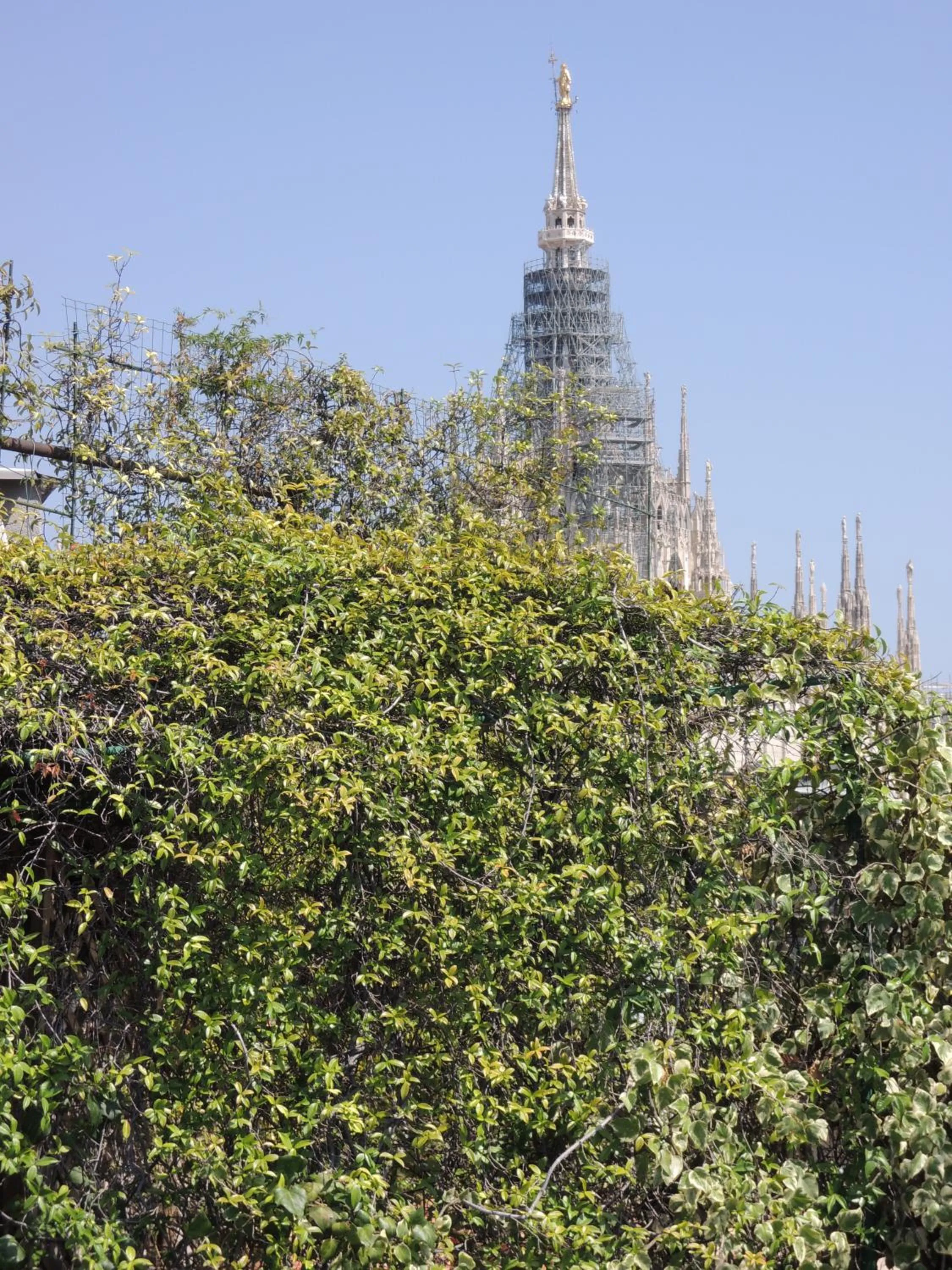 Area and facilities in Suite Milano Duomo