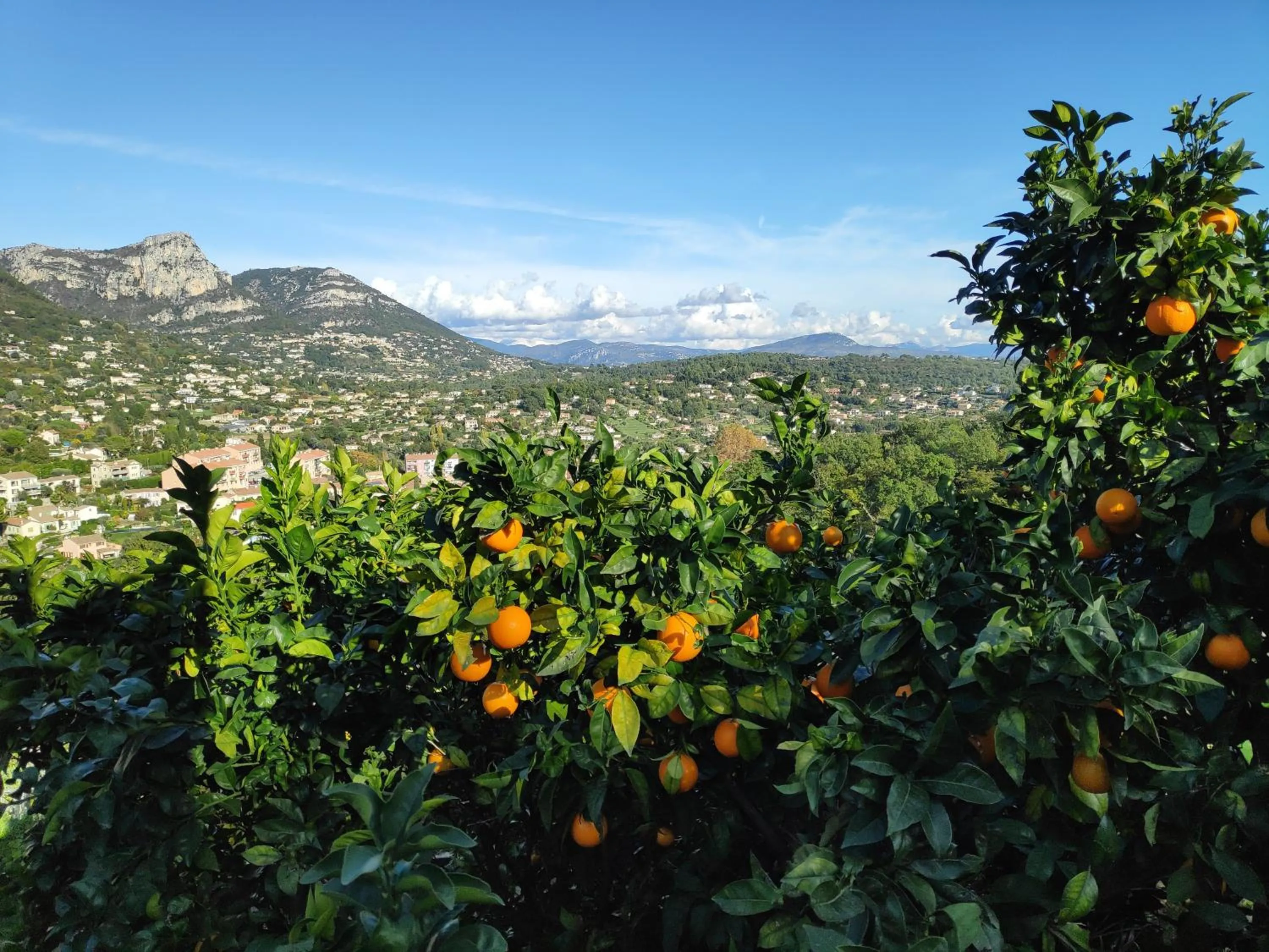 On site in Boutique Hôtel La Victoire - Vence centre