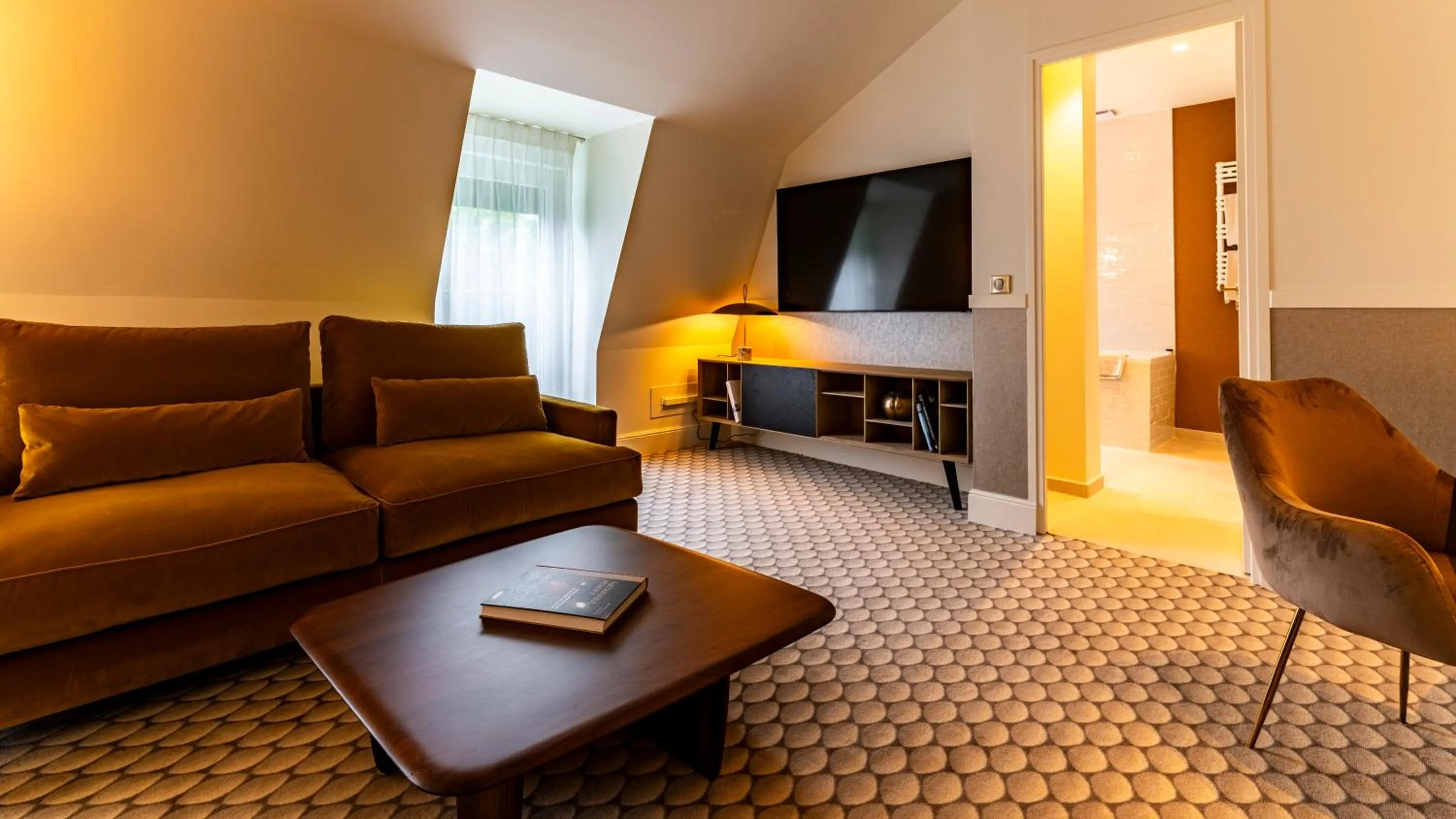 TV and multimedia in Continental Hotel