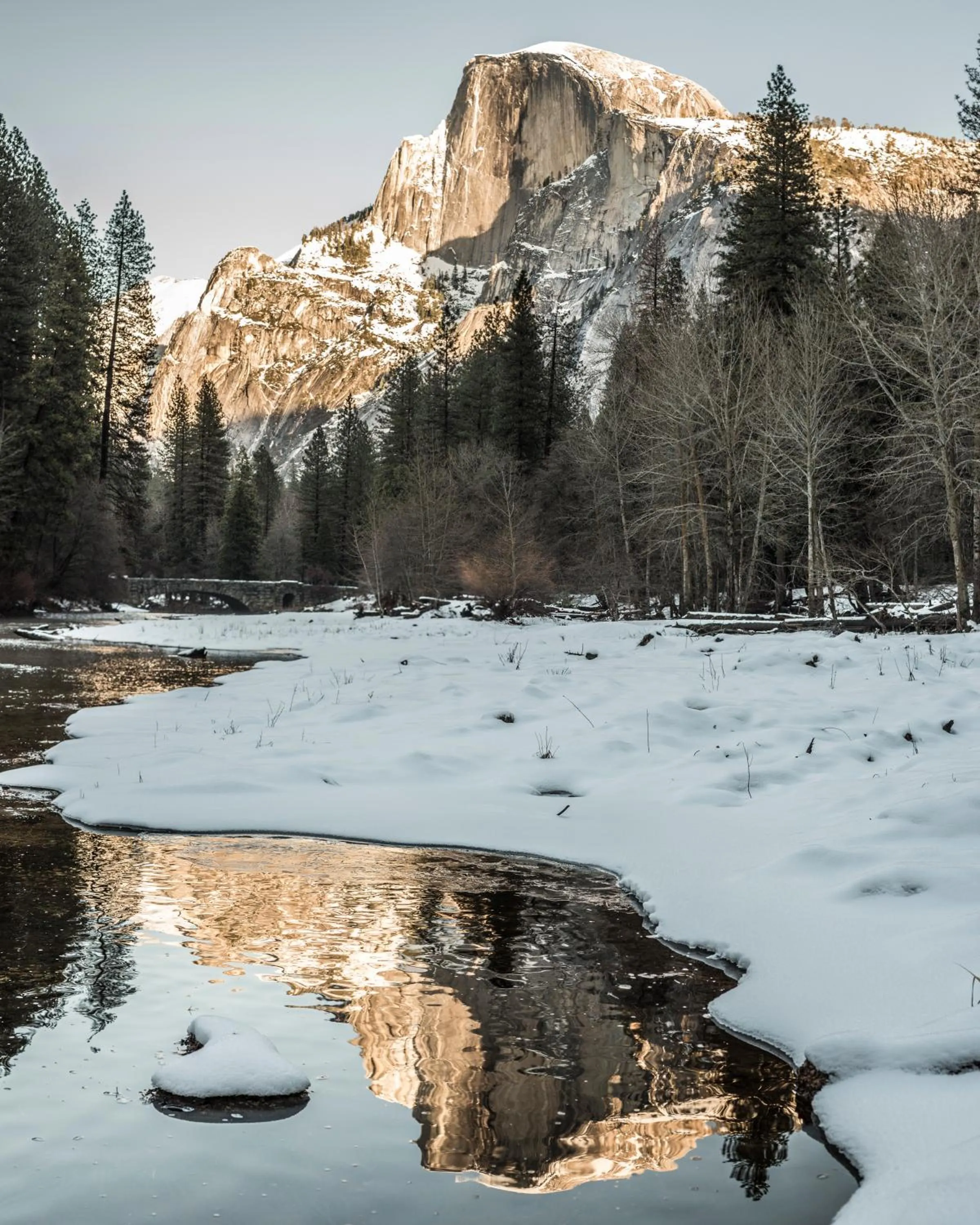 Natural landscape in Curry Village