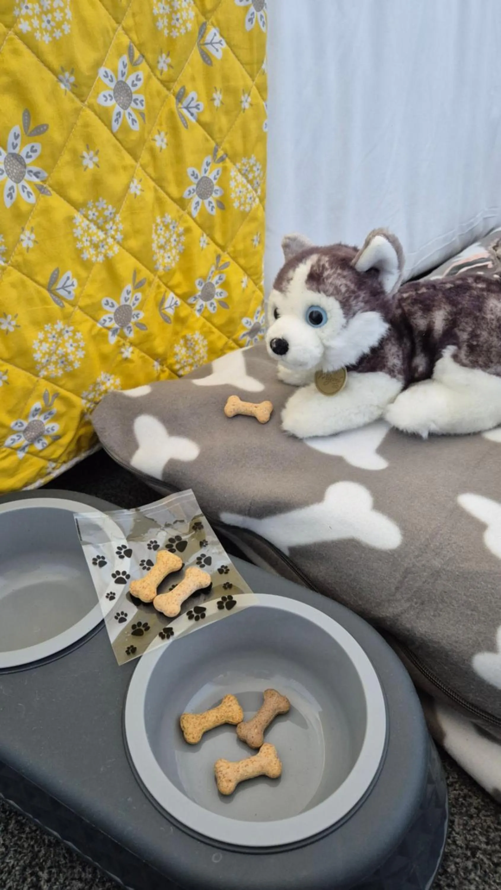 Pets in The Haven Inn Limited