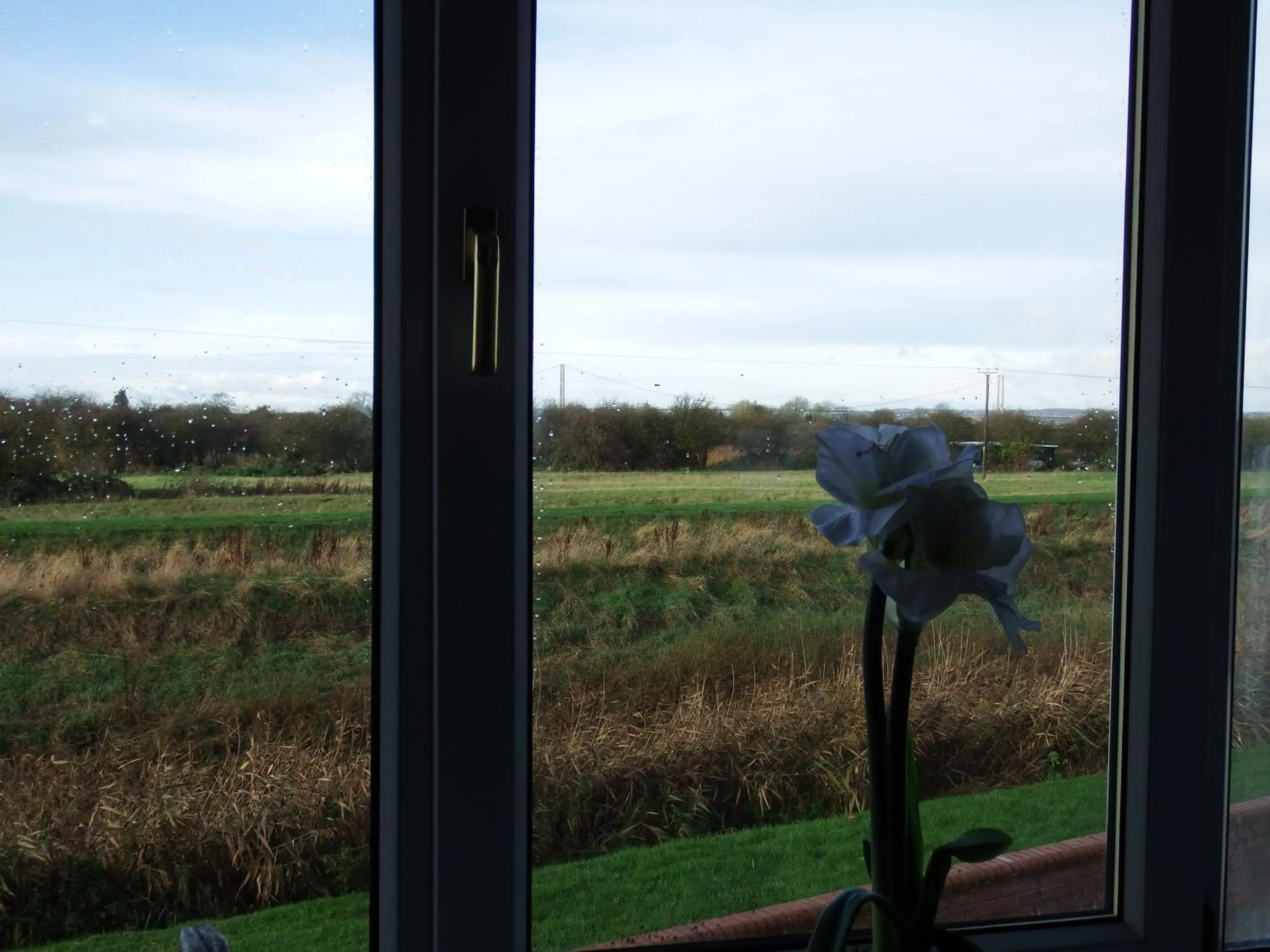 Natural landscape in The Haven Inn Limited