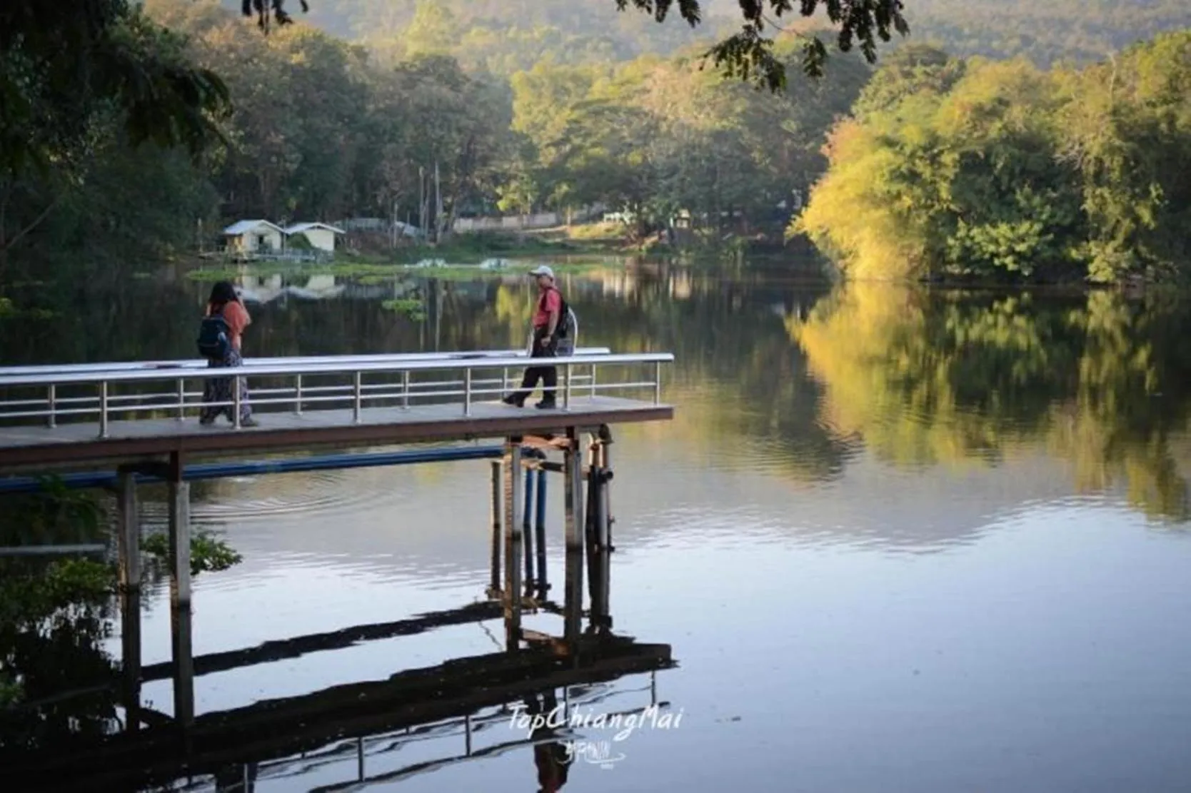 Natural landscape in XX GO INN Chiang Mai University - CMU