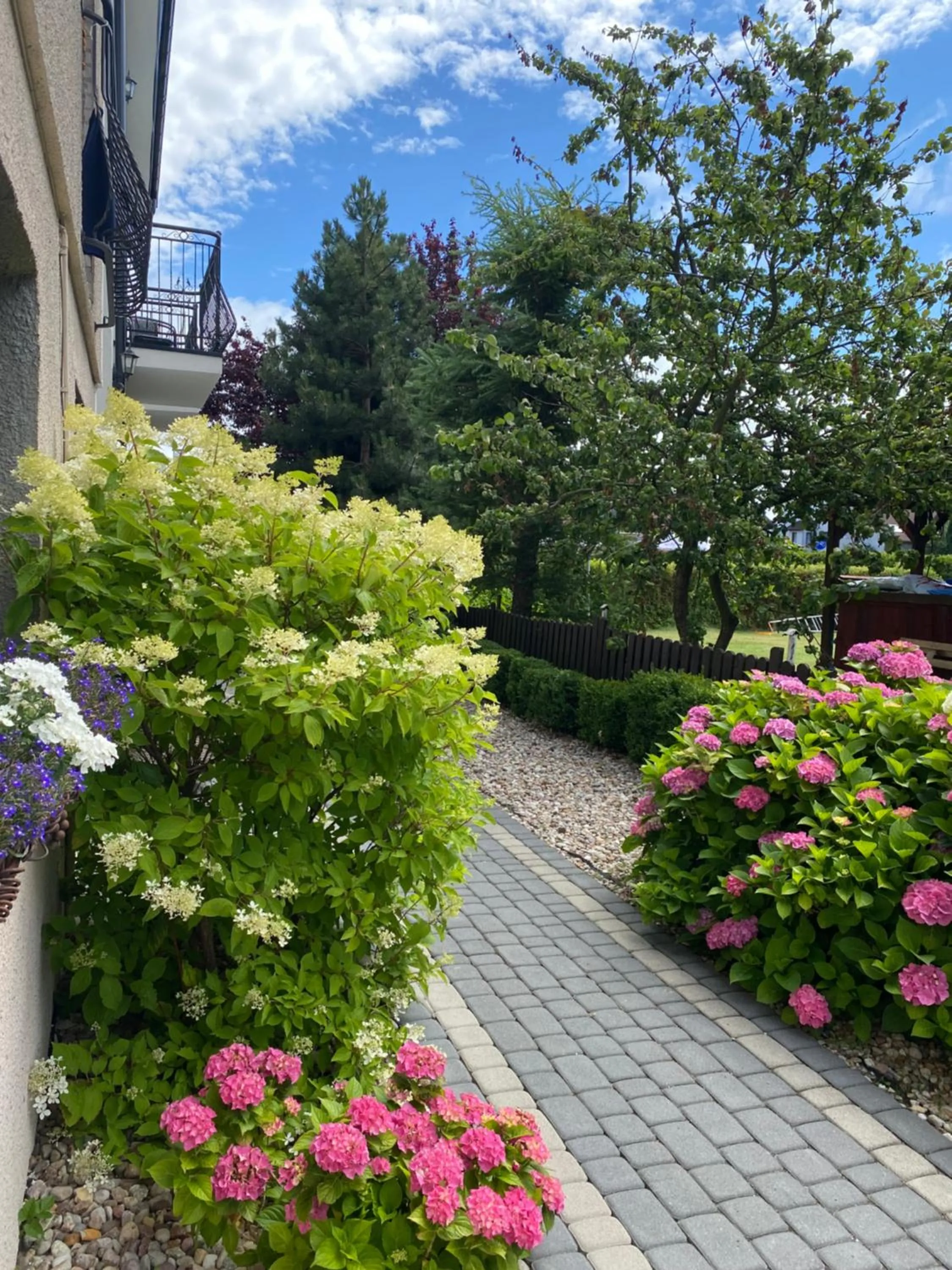 Garden in Willa Atena