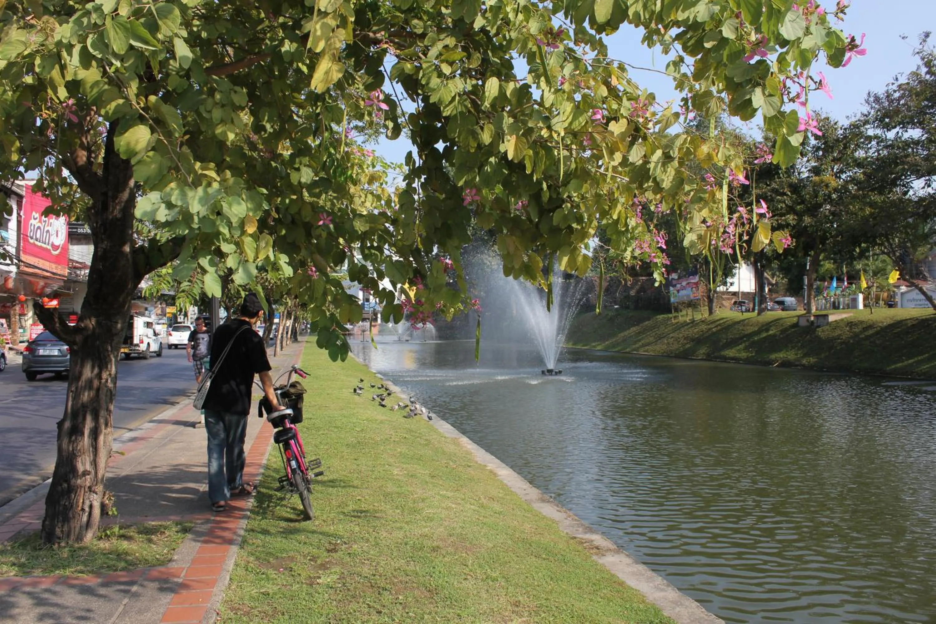 Nearby landmark in XX GO INN Night Bazaar Chiang Mai