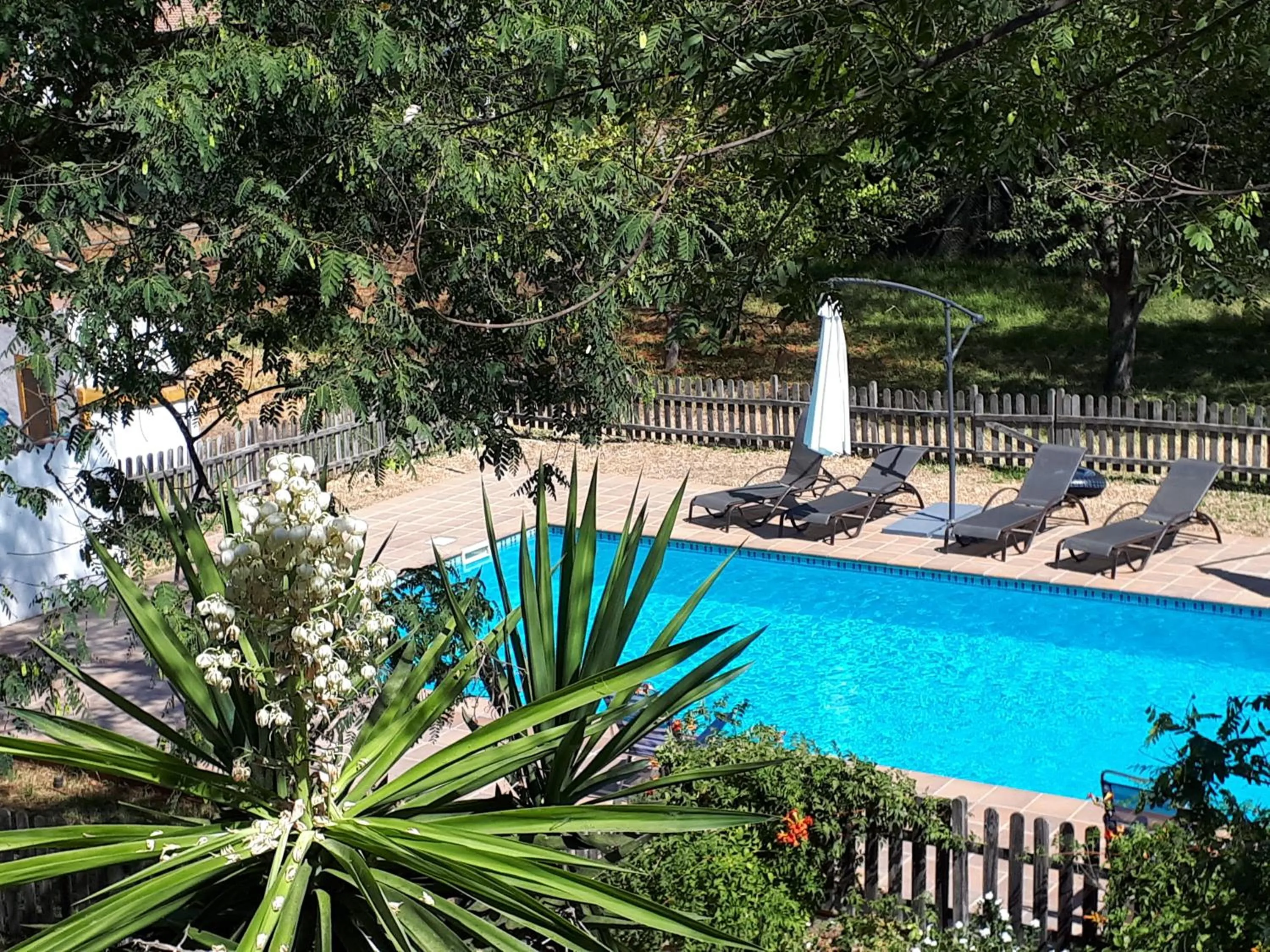 Pool view in Cortijo Los Conquistadores