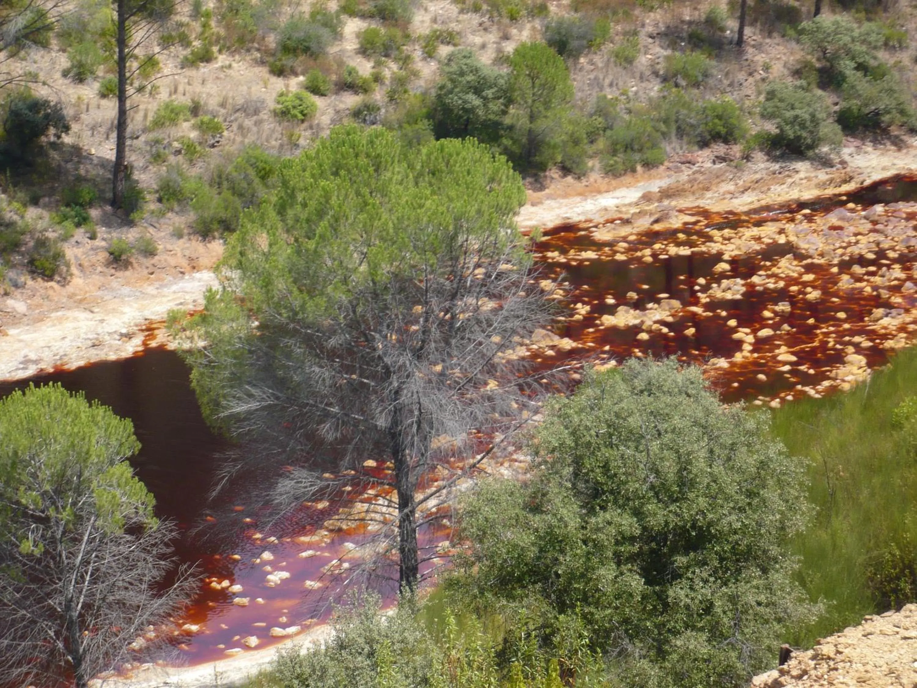 Nearby landmark in Cortijo Los Conquistadores