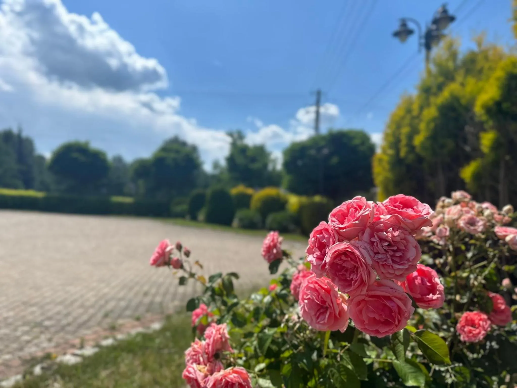 Spring in Hotel Dudek