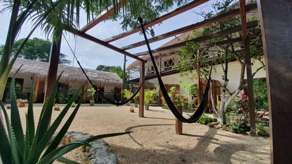 Cedro Rojo Cedro Rojo