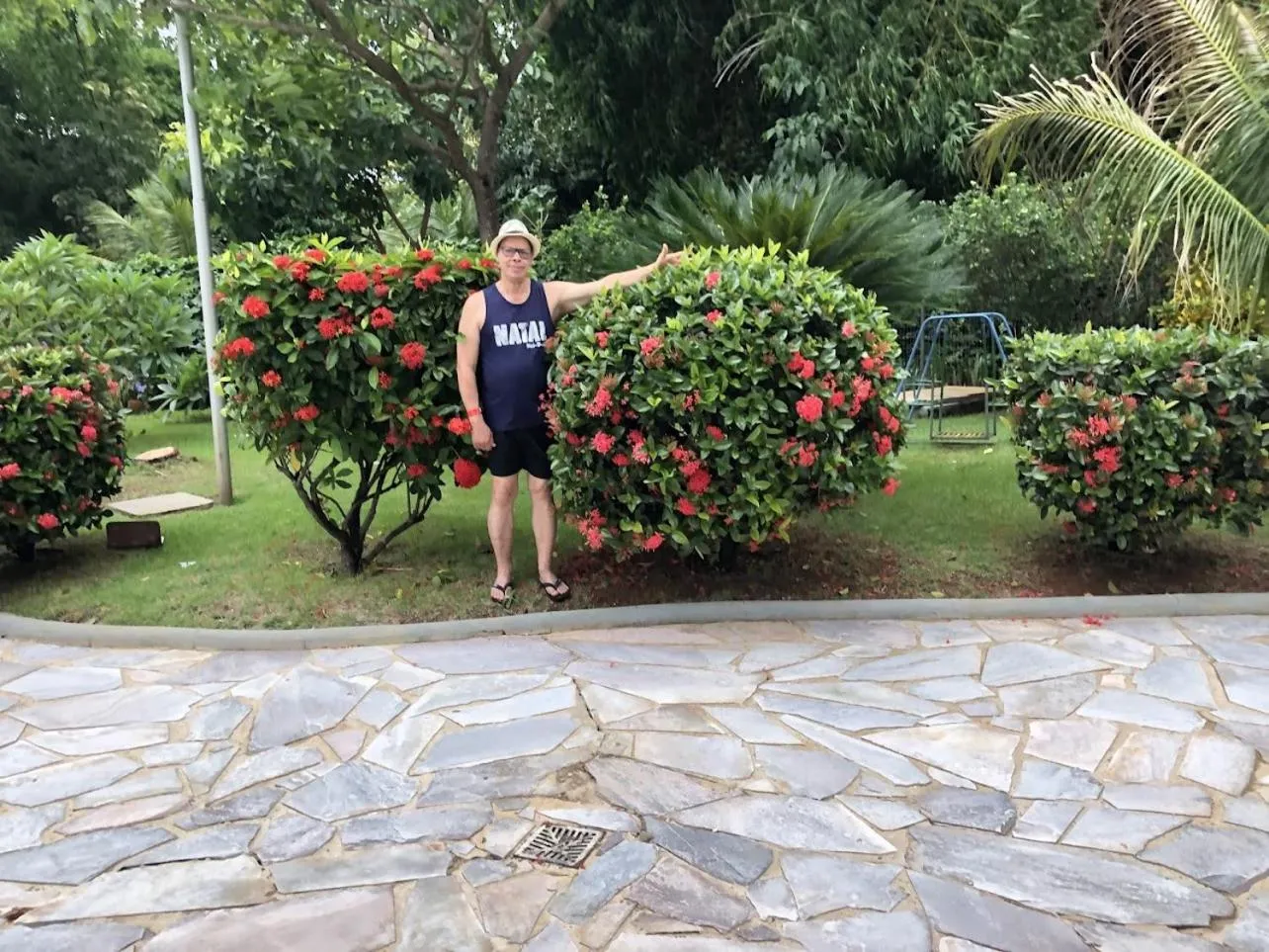 Golden Dolphin Express