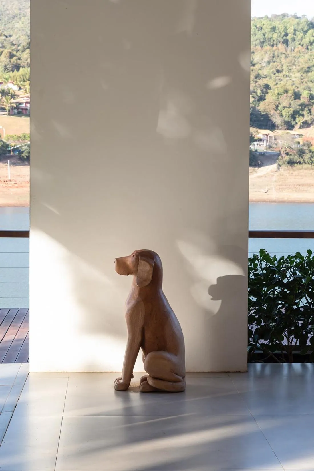 Pets in Pousada Noah