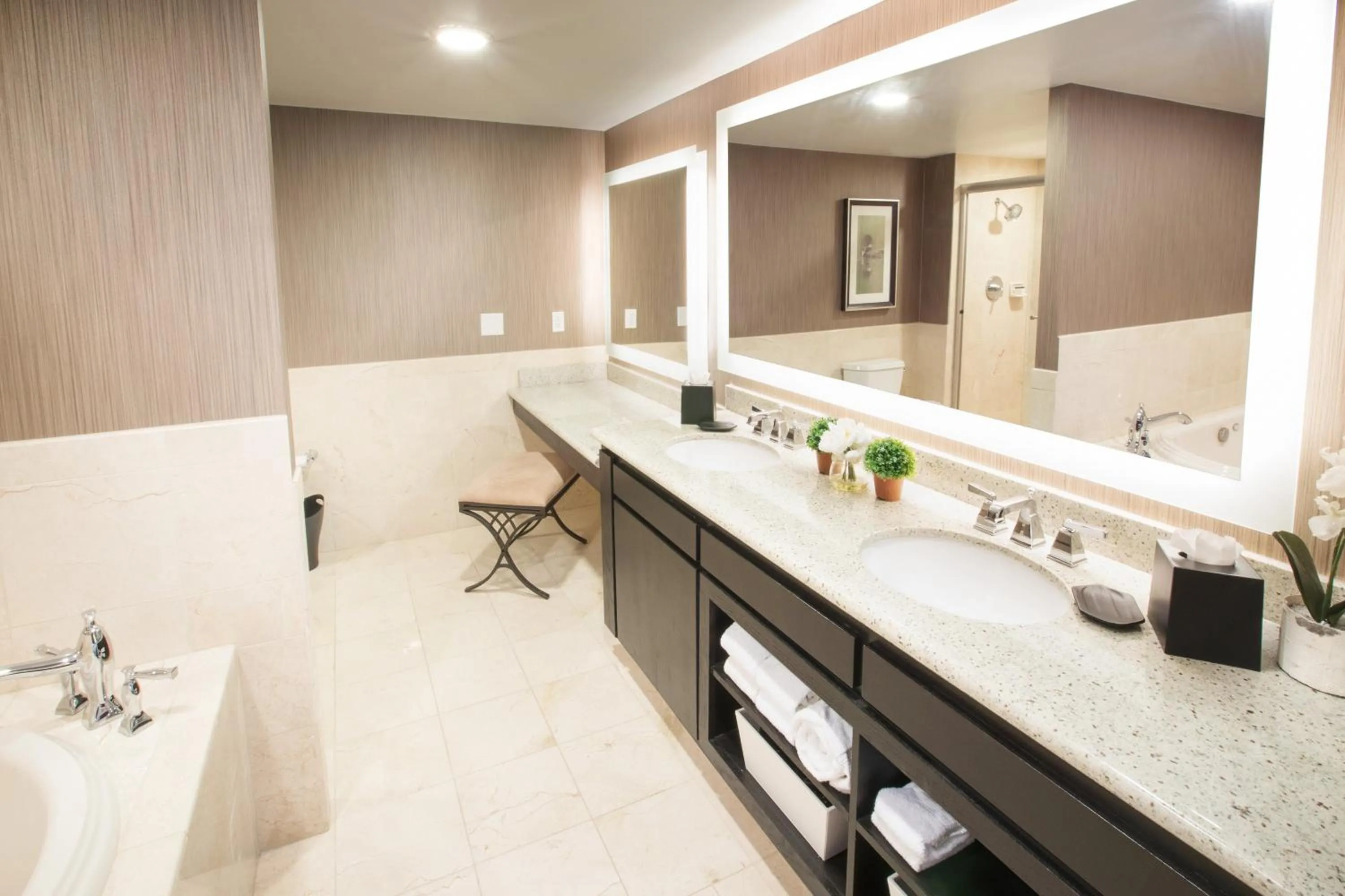 Bathroom in Sheraton Minneapolis West Hotel