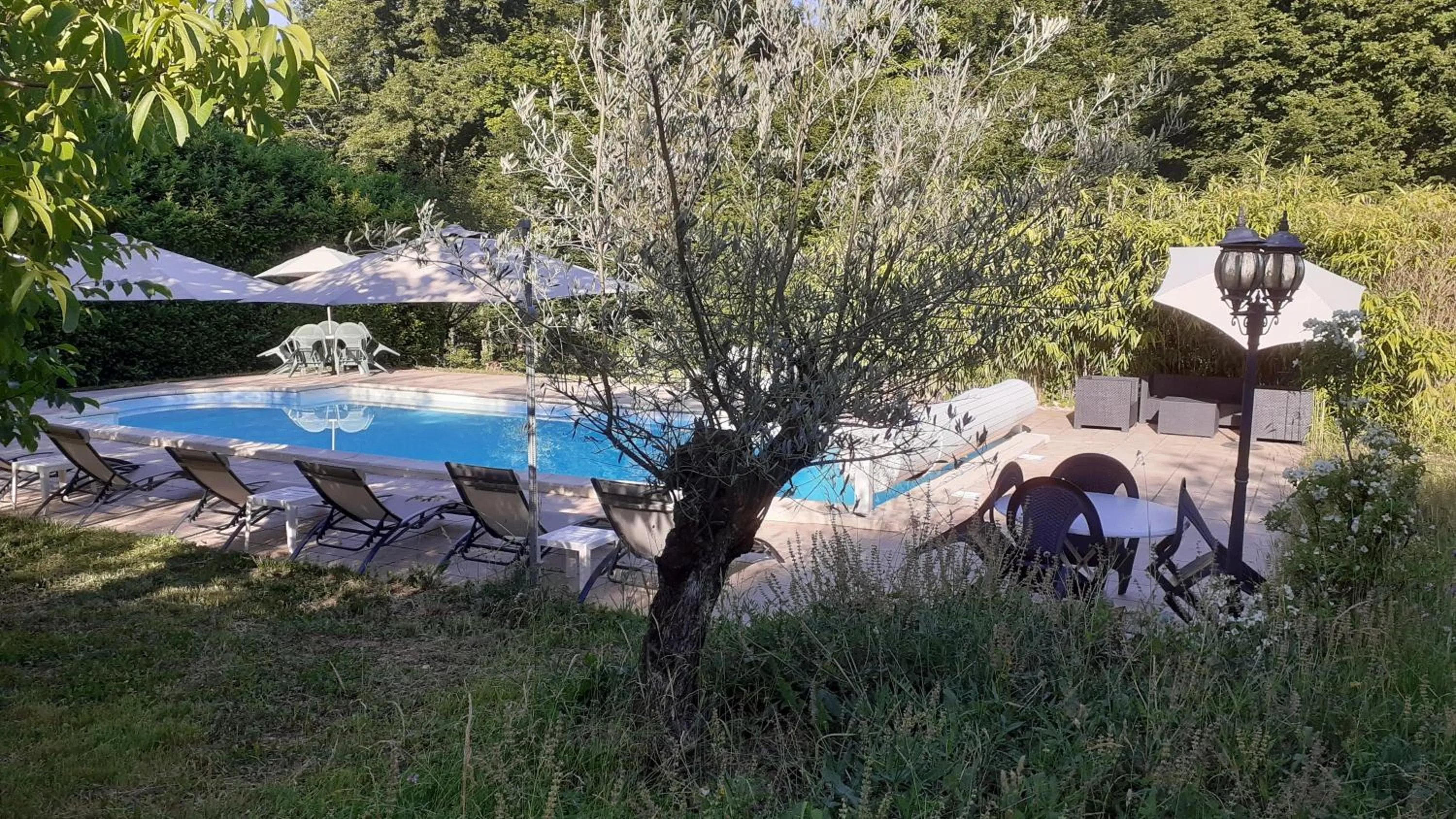 Swimming pool in Le Chateau de Prauthoy