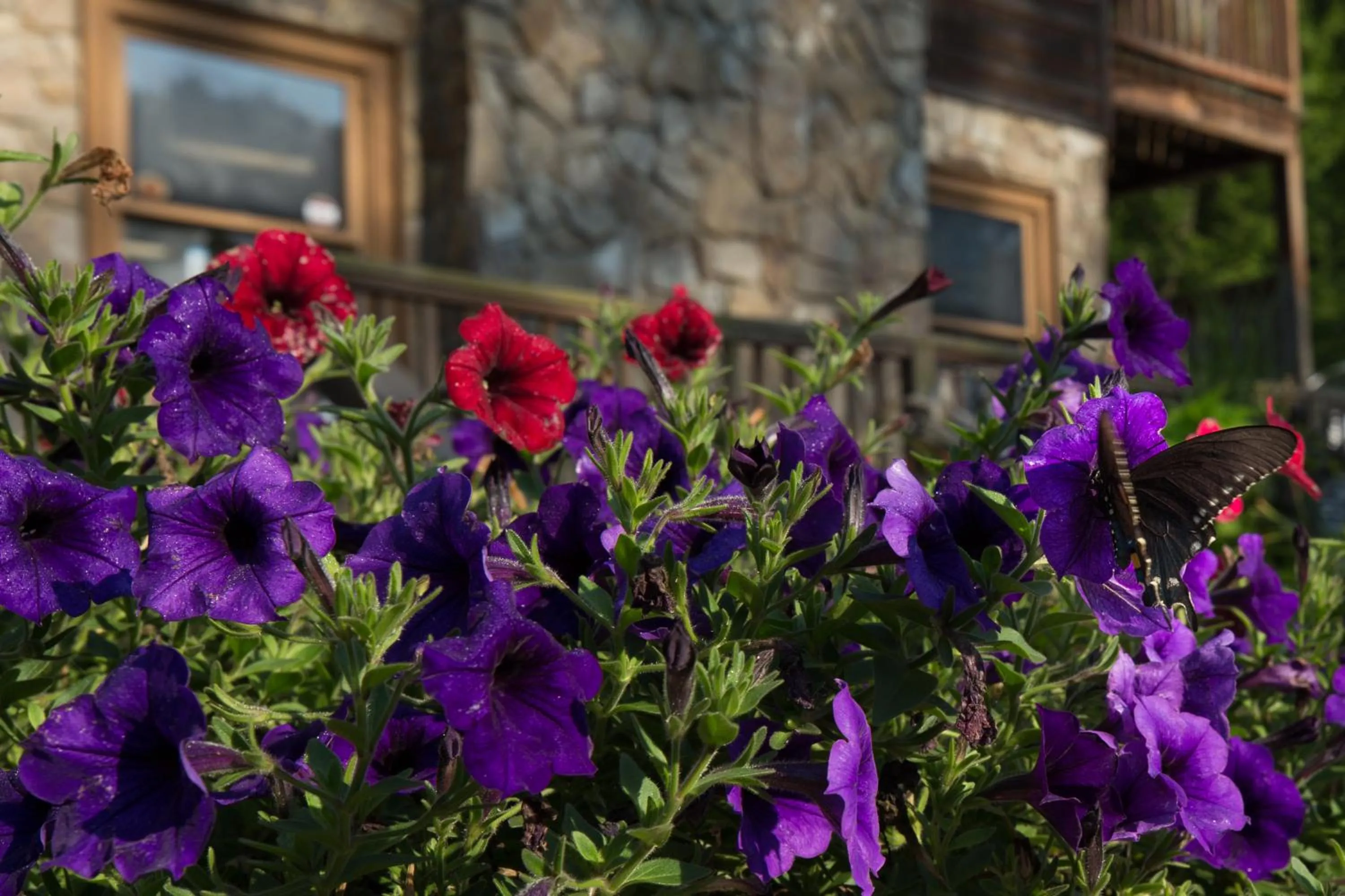 Facade/entrance in Springmaid Mountain Retreat & Stables