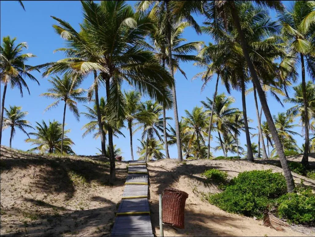 Other in Apartamento Terraco Buganvilias - Reserva Imbassai