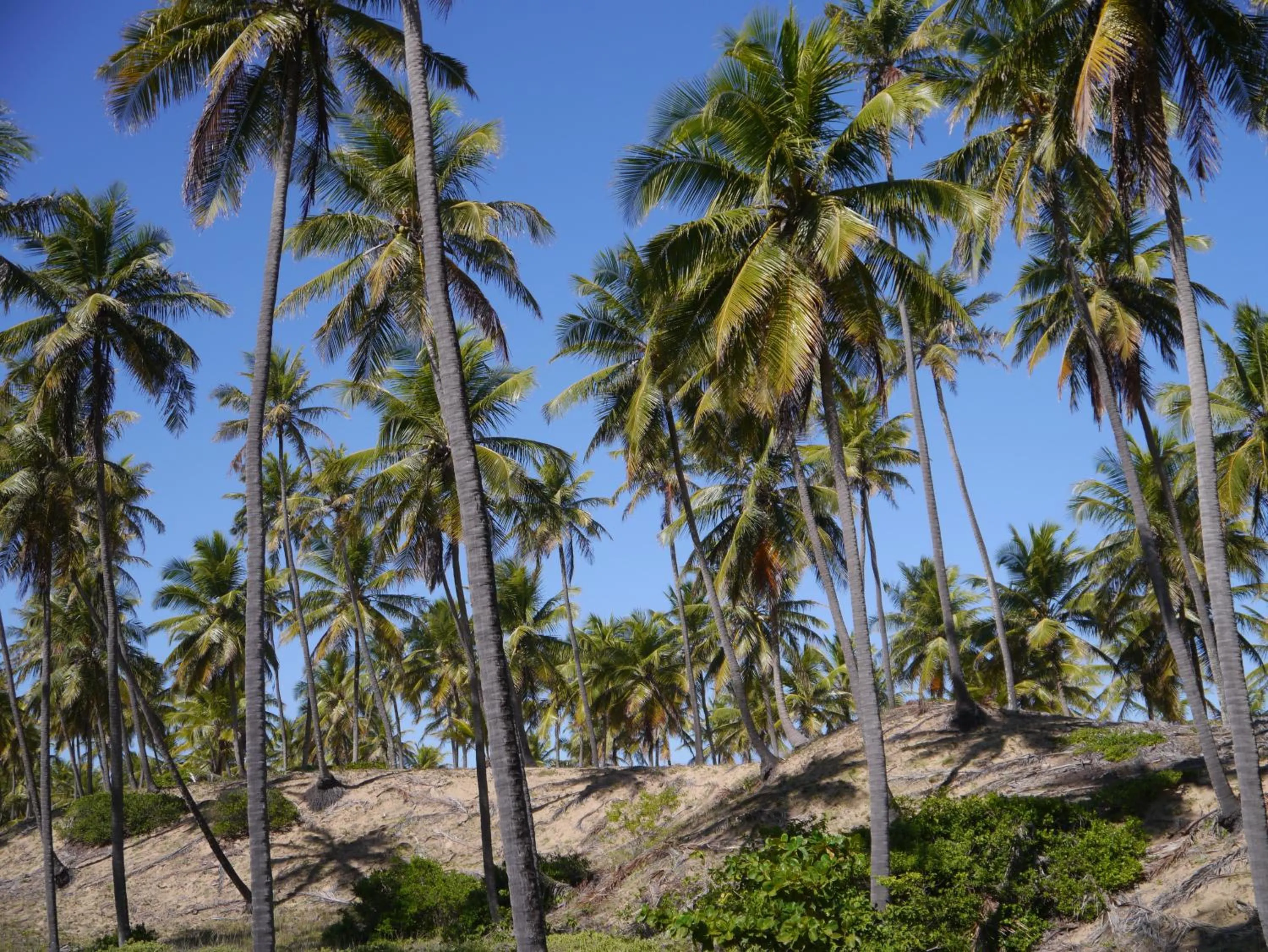 Other in Apartamento Terraco Buganvilias - Reserva Imbassai