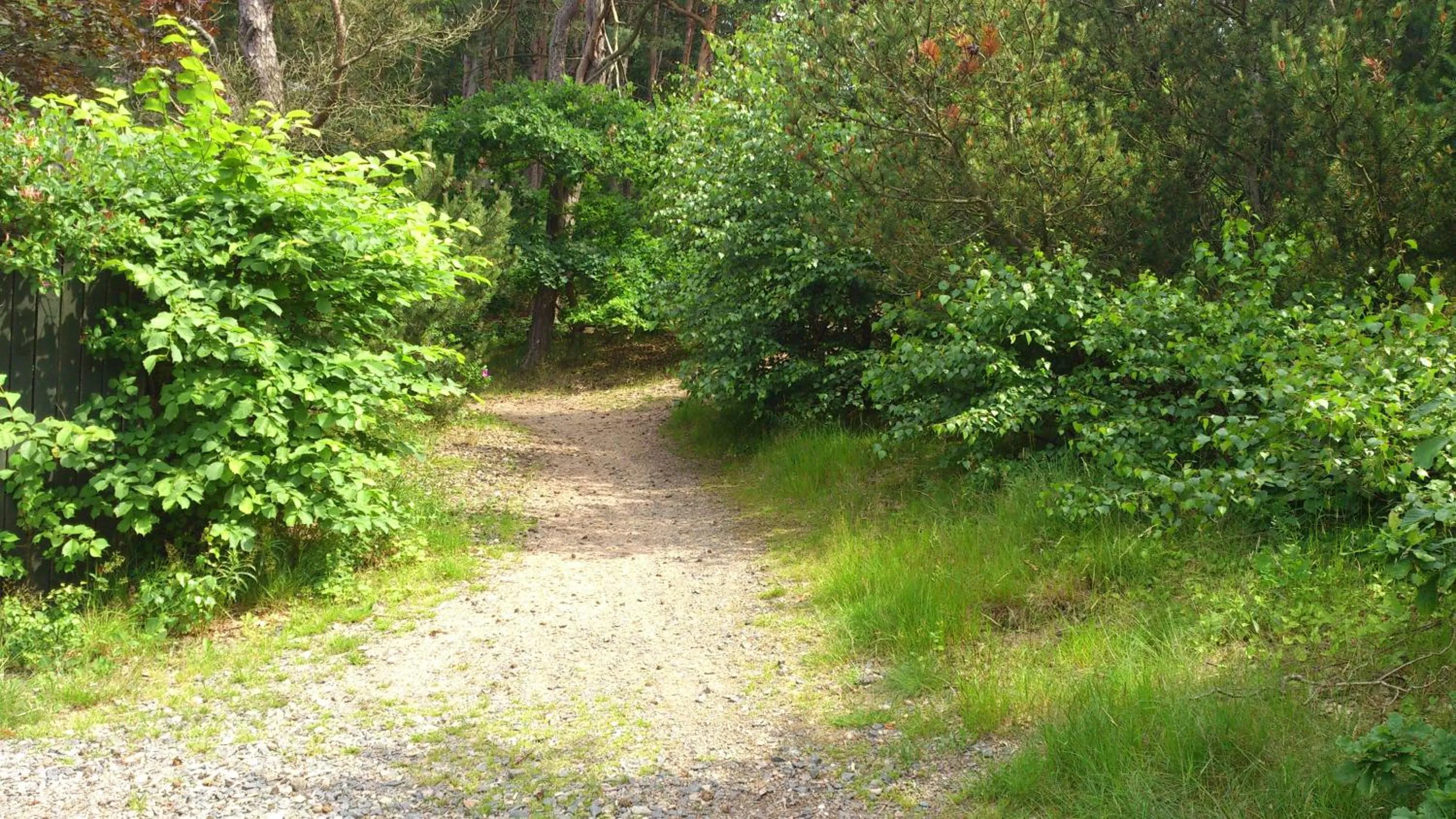 Other in Vejby Strand Hotel