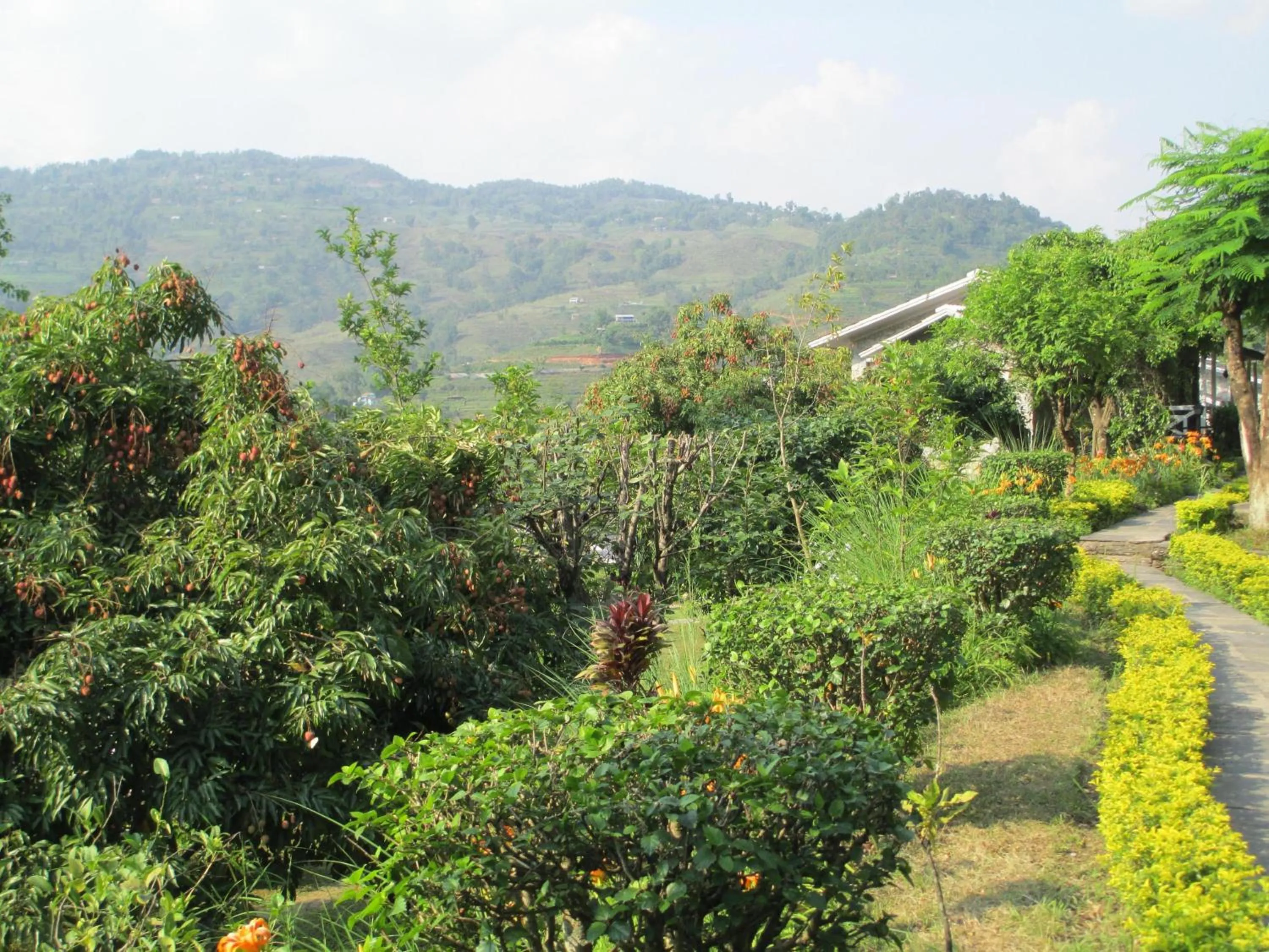 Day in The Begnas Lake Resort & Villas