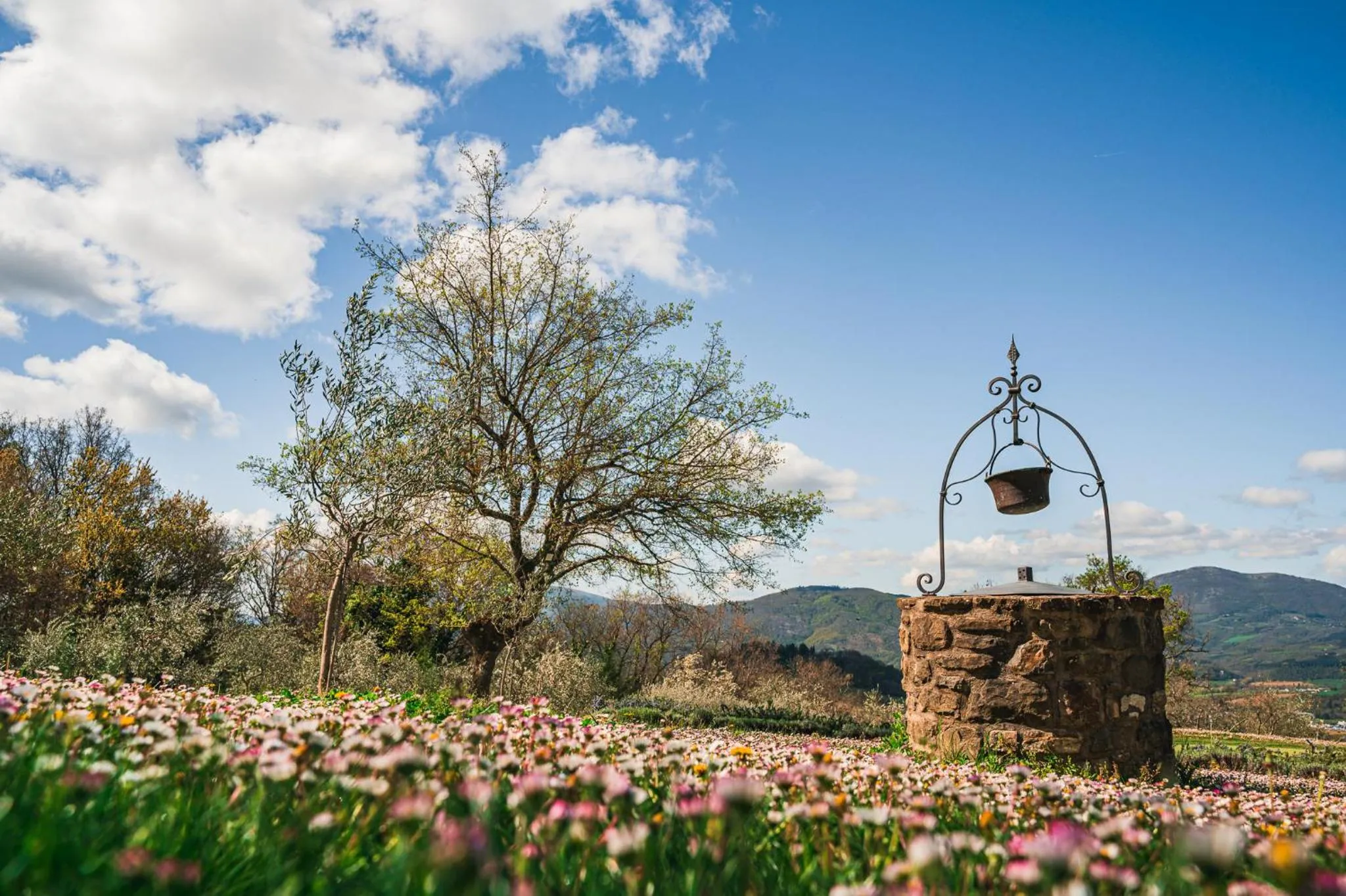 Spring in Nikis Resort