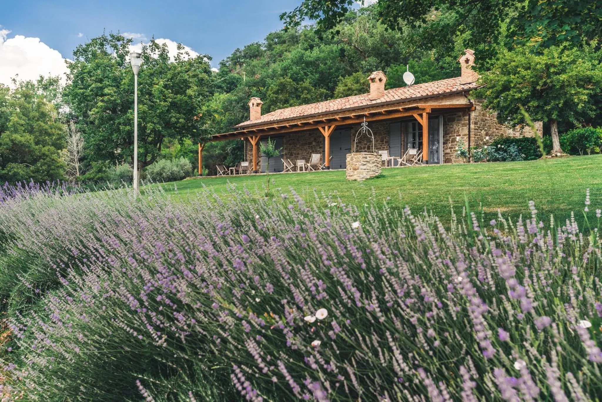 Property building in Nikis Resort