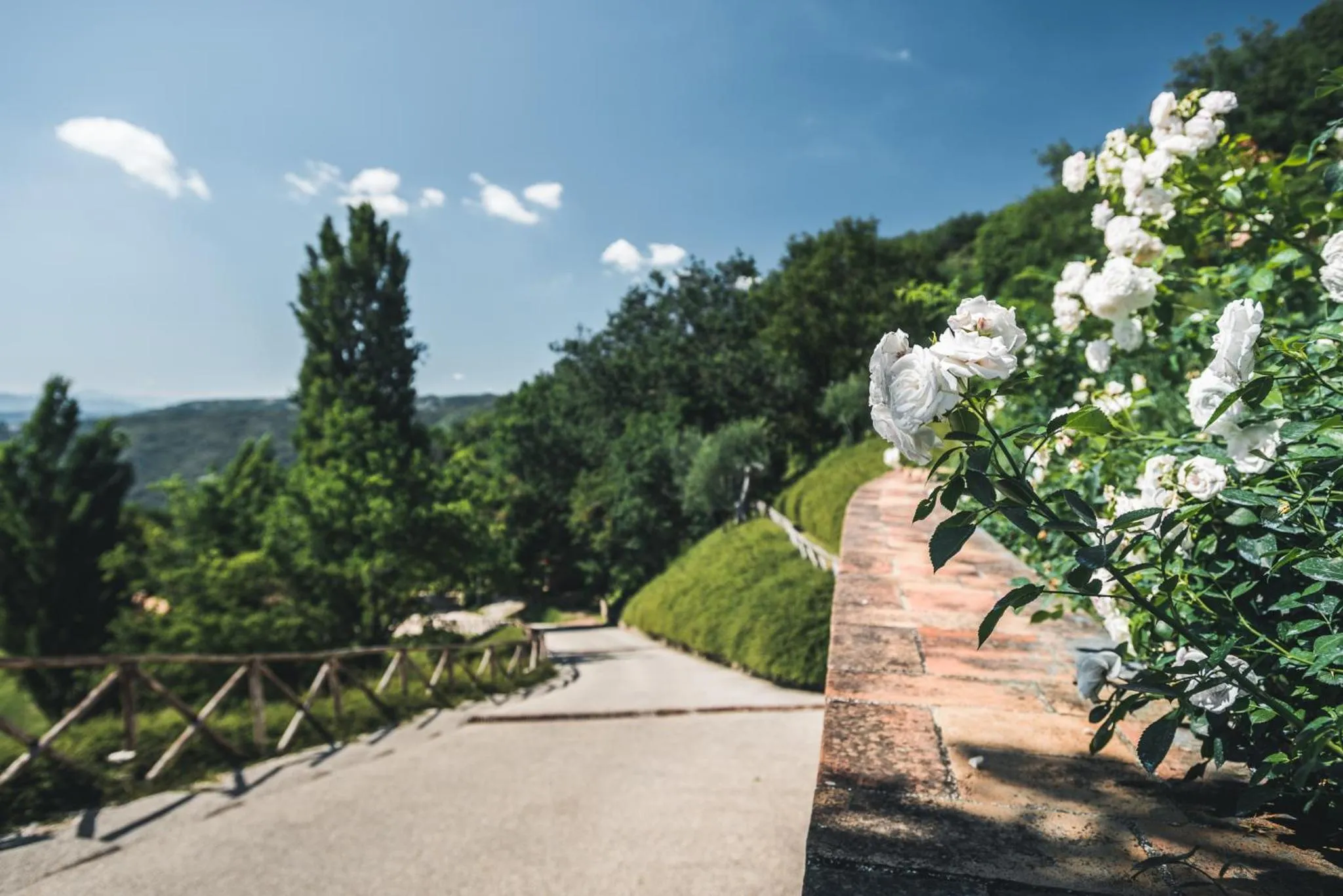 Natural landscape in Nikis Resort