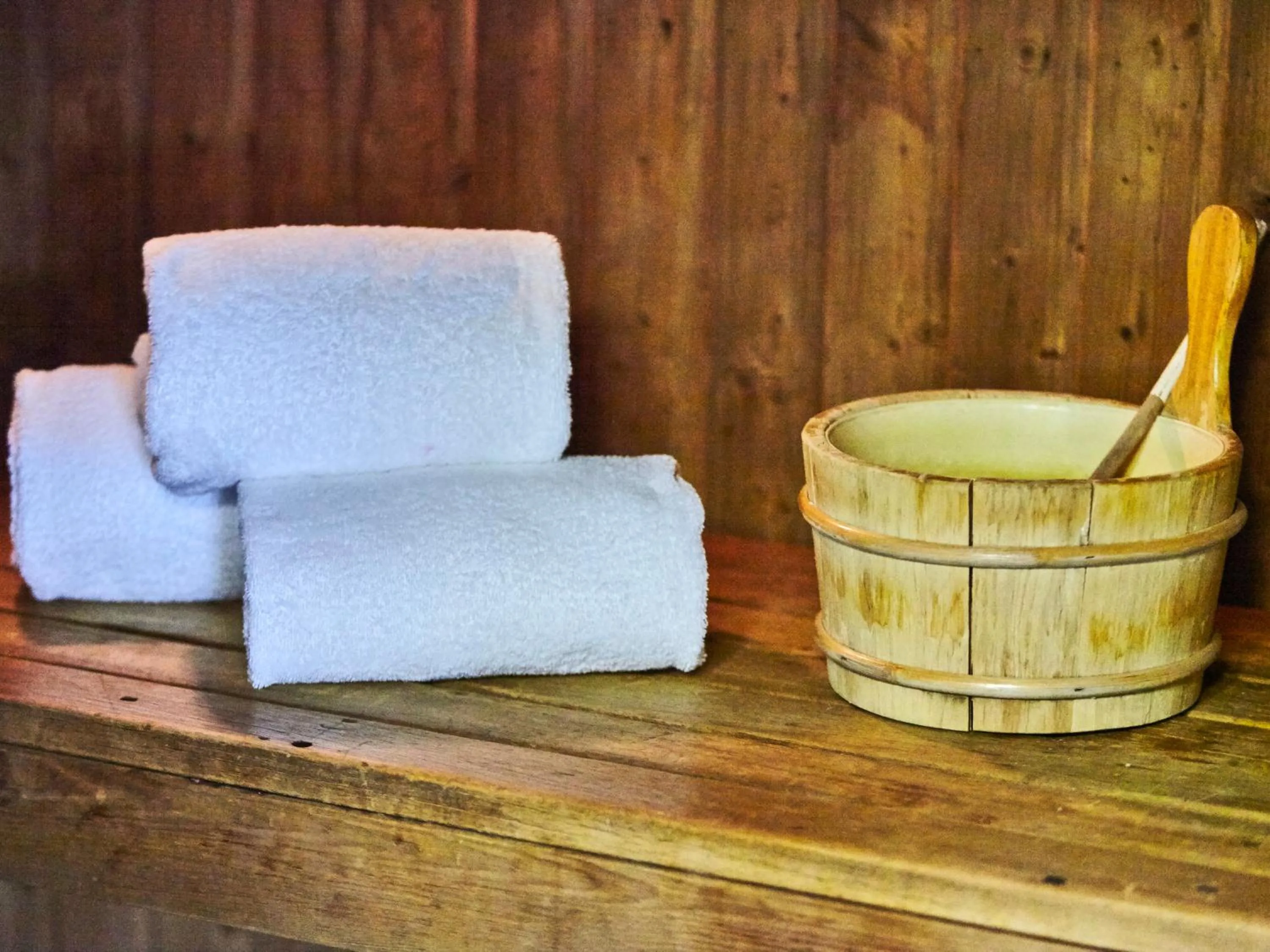 Sauna in Radisson Hotel Paris Le Bourget