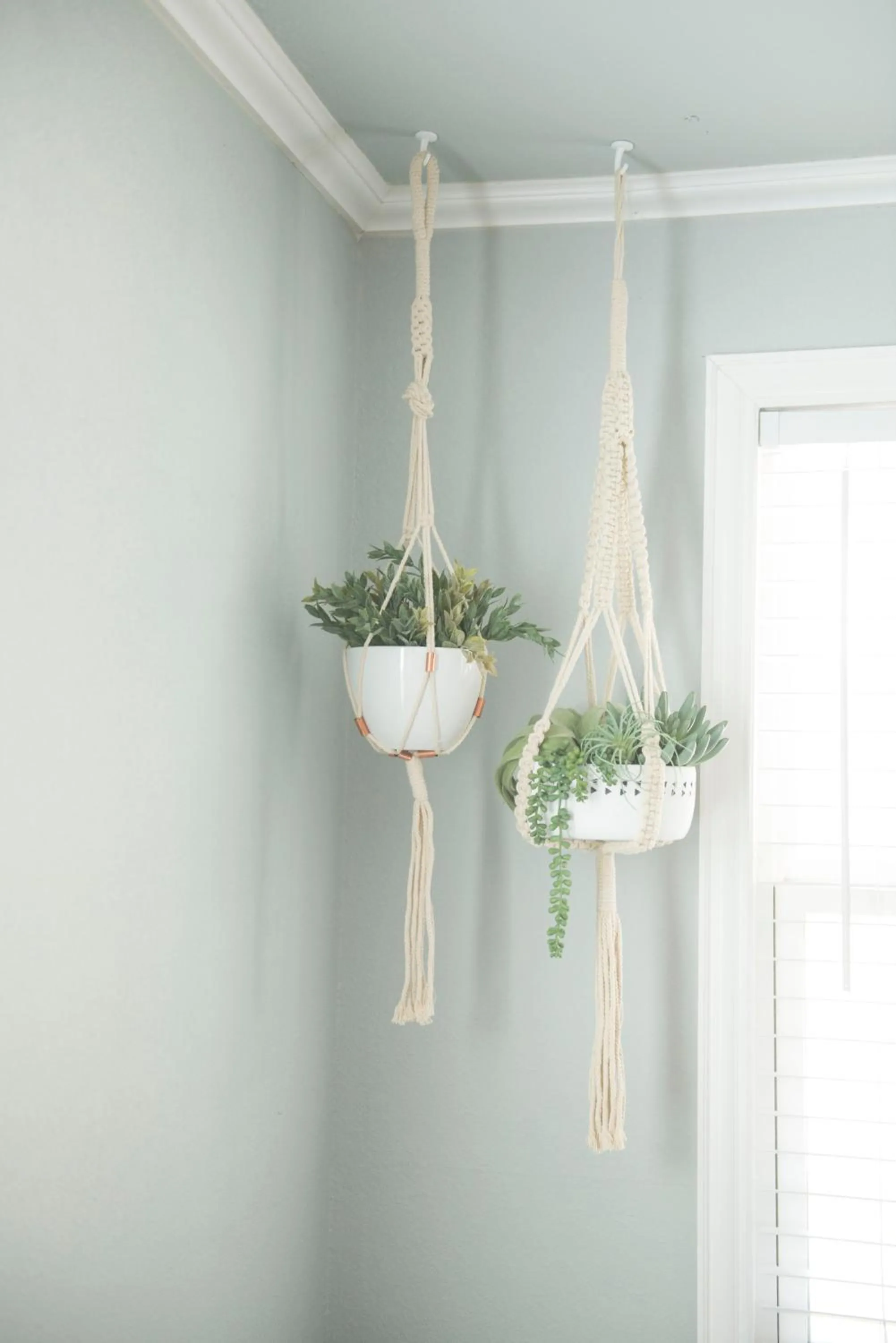 Walk to the Silos! 3 Bed 1960's Bungalow near Baylor