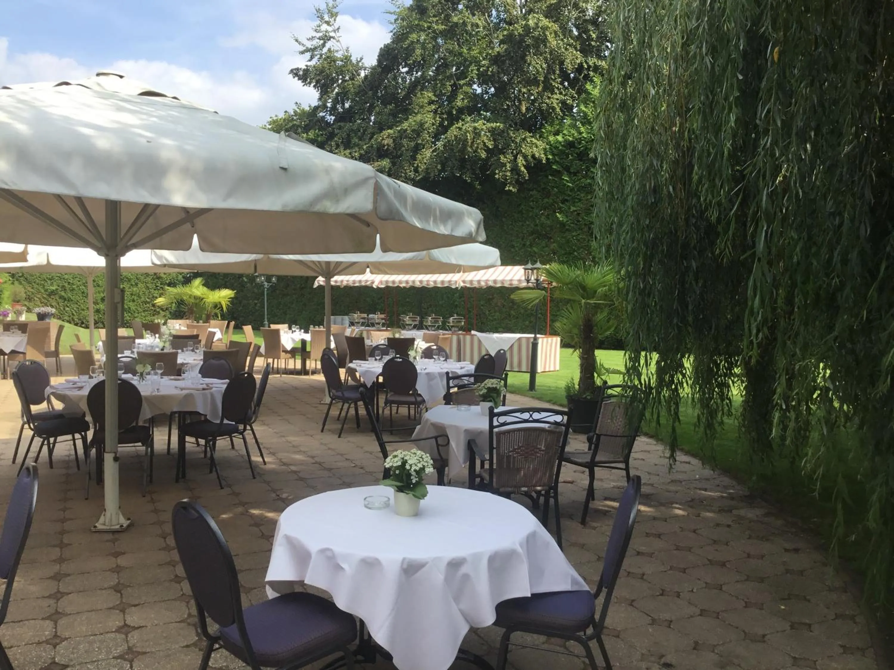 Garden in Hotel Steensel