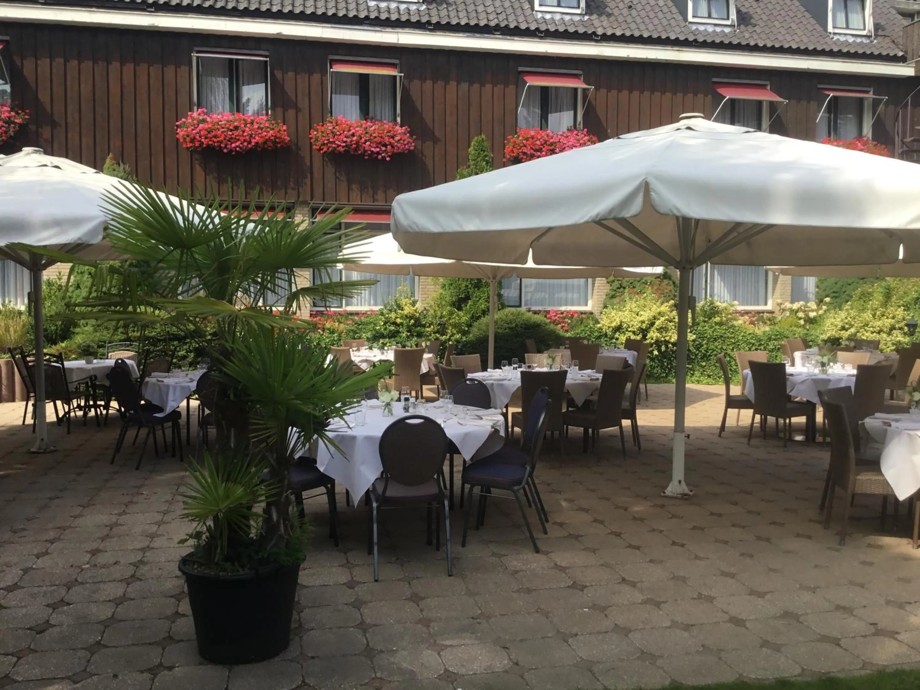 Garden in Hotel Steensel