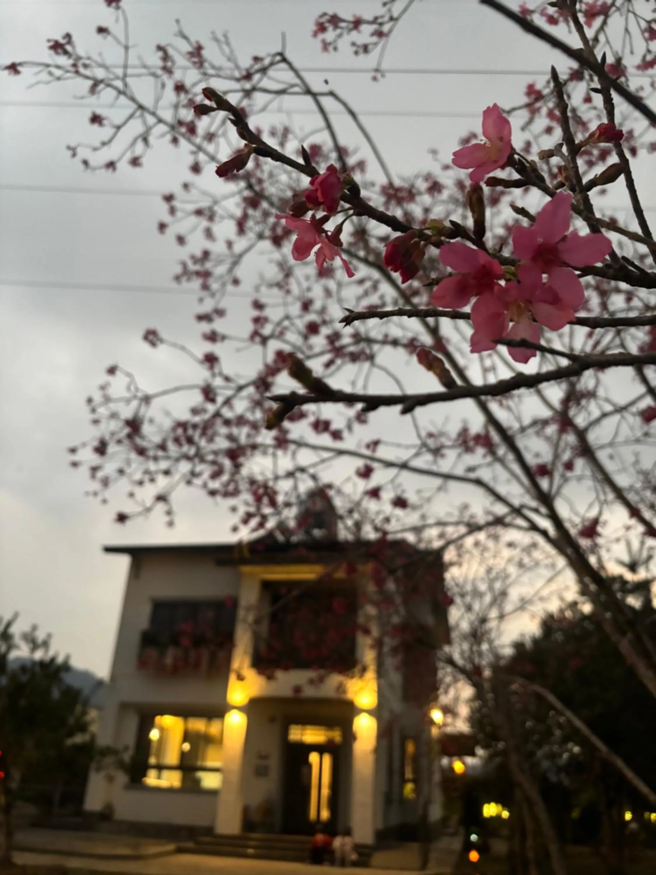 Property building in 晨民宿 Morning Homestay