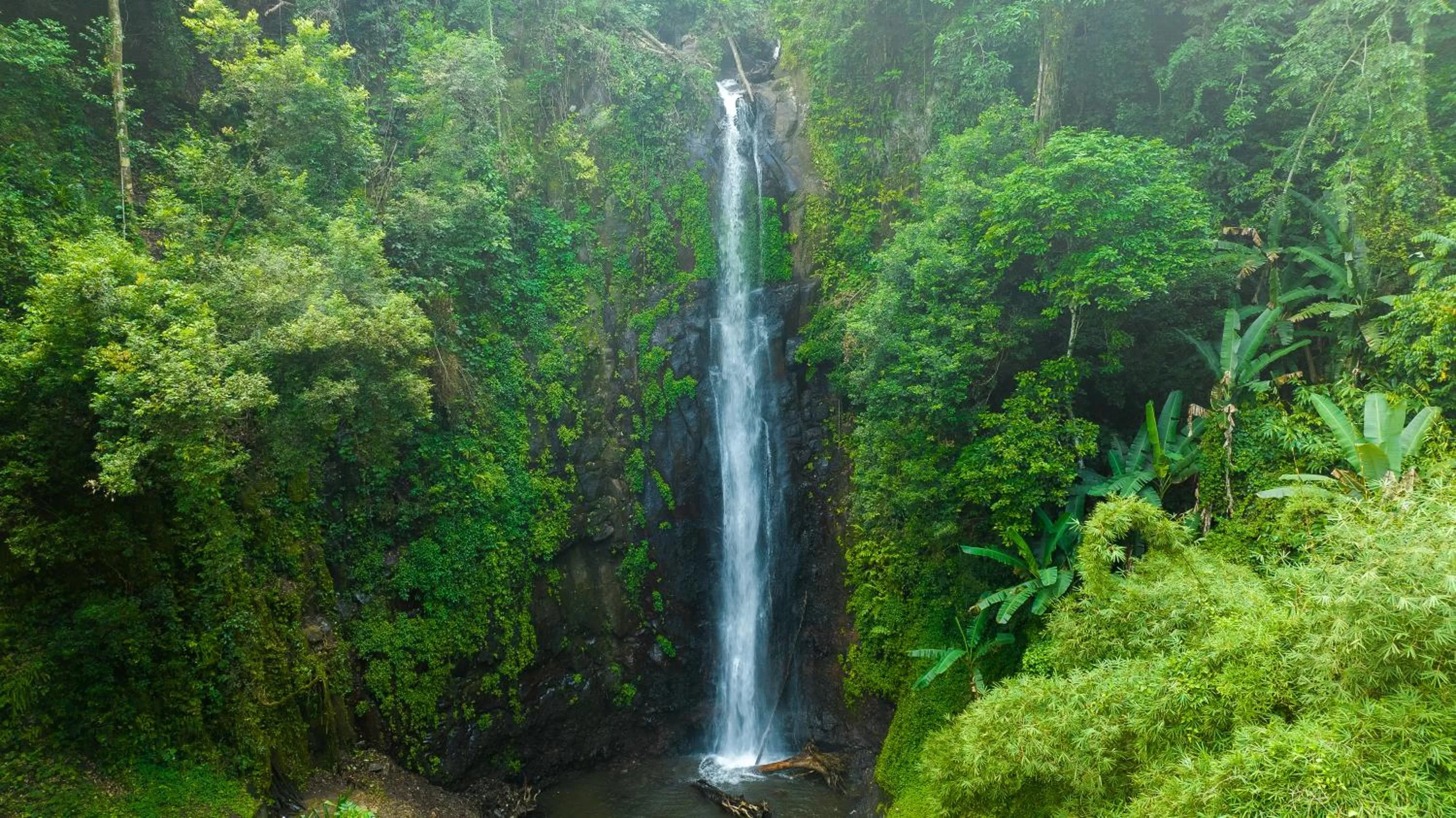 Natural landscape in Omali São Tomé