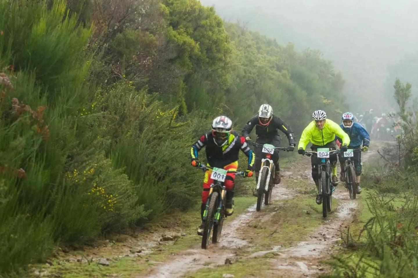 Activities in Hotel Vila Bela