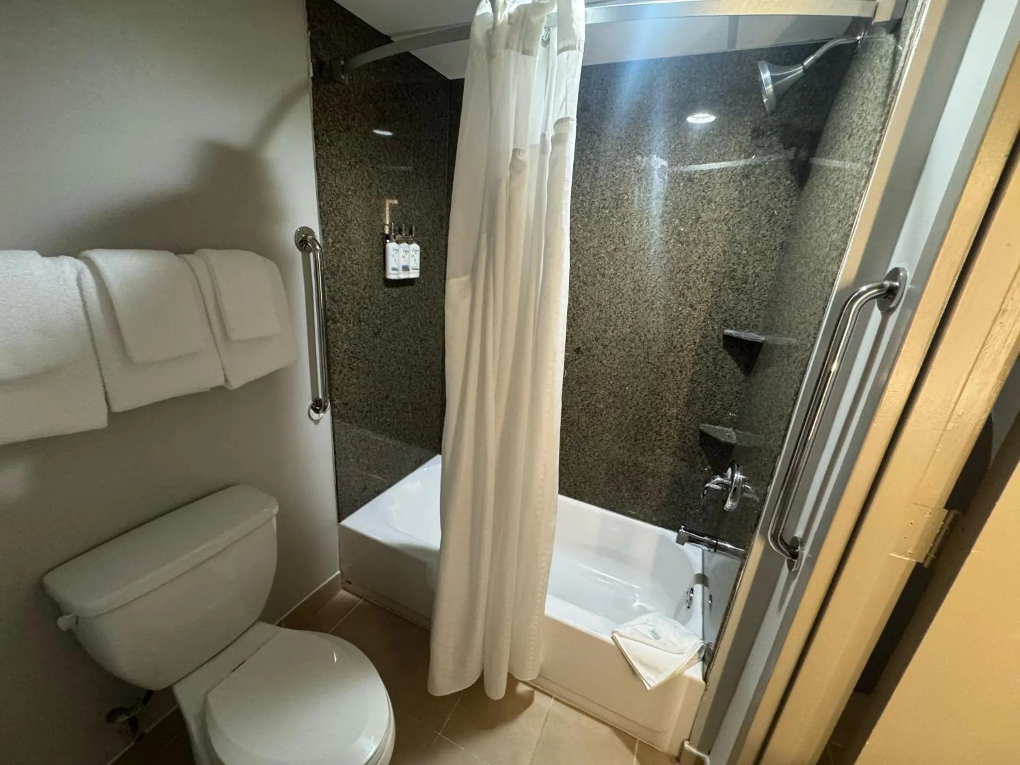 Holiday Inn Express & Suites - Atlanta Downtown by IHG