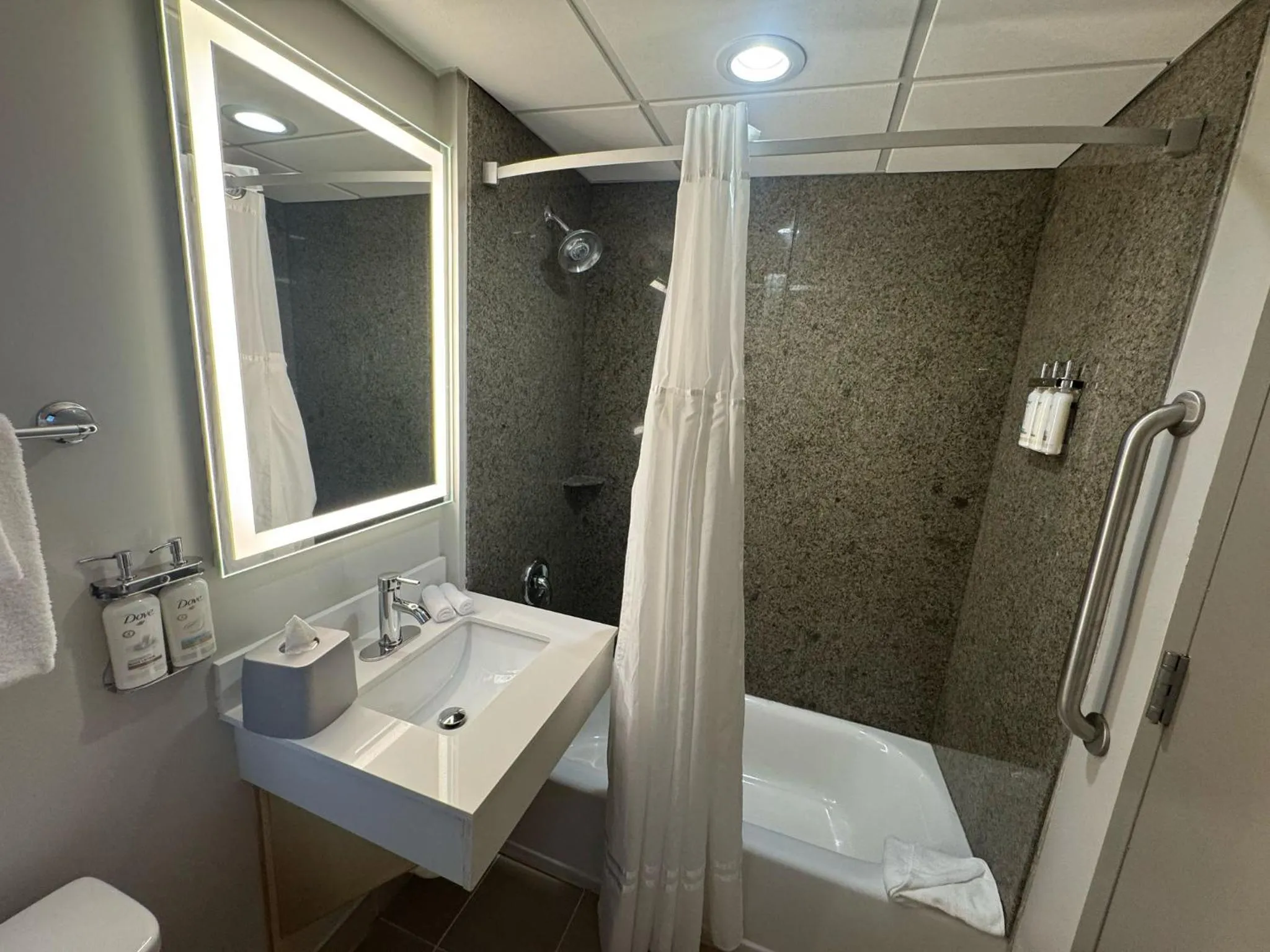 Holiday Inn Express & Suites - Atlanta Downtown by IHG